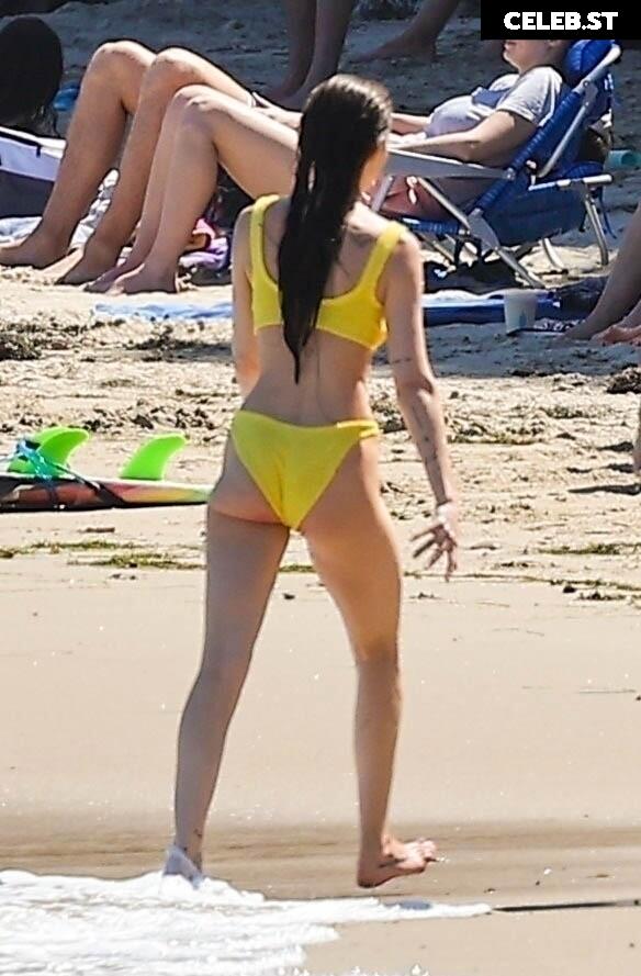 Dakota Johnson Image 1981434