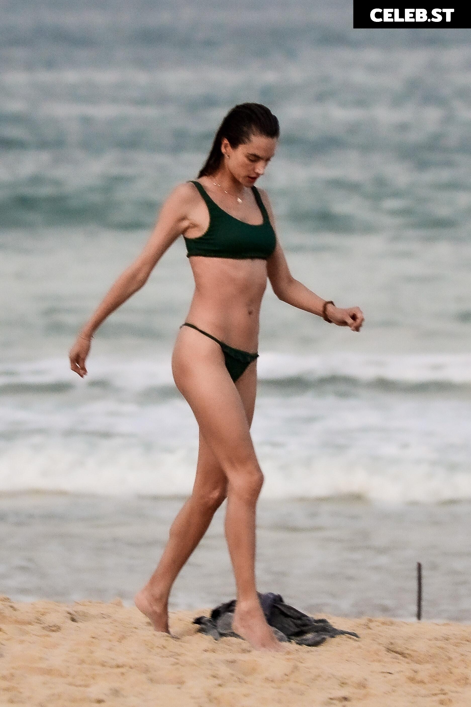 Alessandra Ambrosio Image 1981906