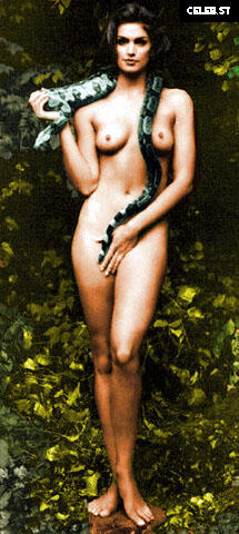 Cindy Crawford Image 1980429