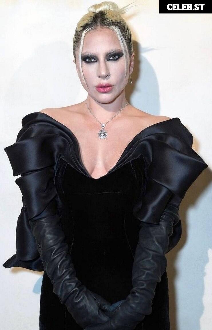 Lady Gaga Image 1988162