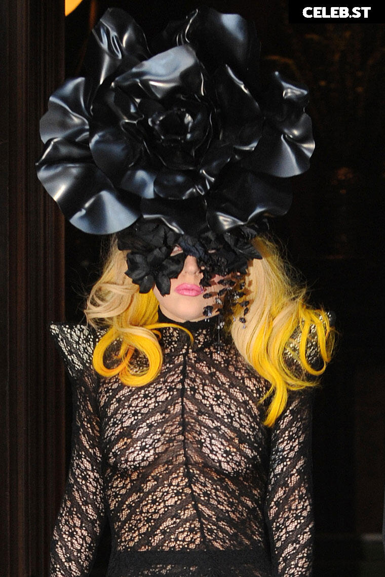 Lady Gaga Image 1977794