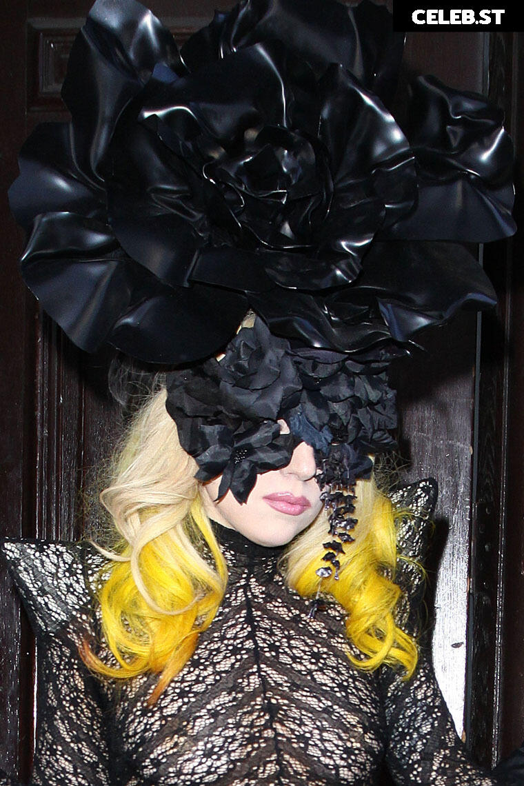 Lady Gaga Image 1977988