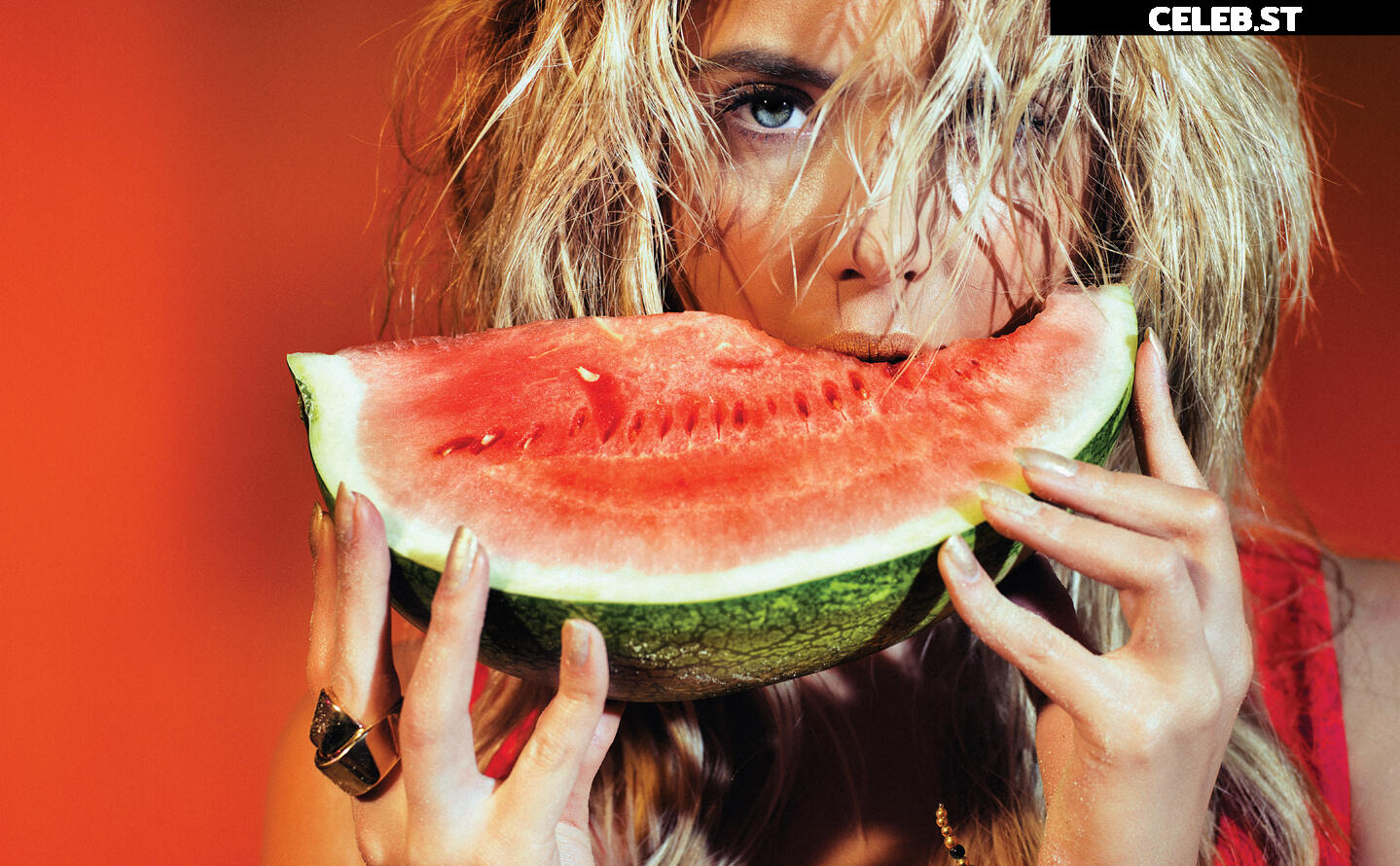 Ashley Benson Image 1971756