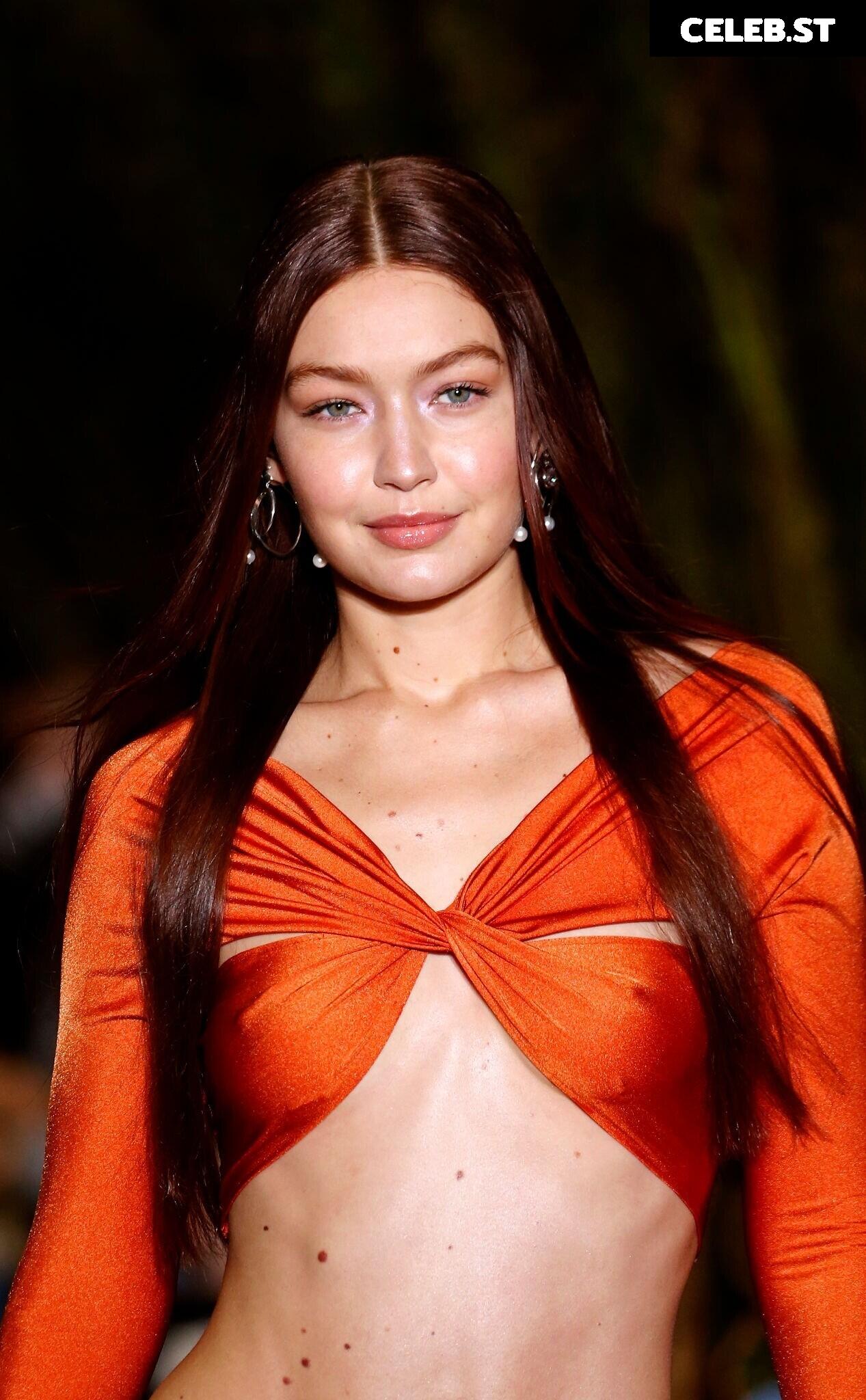 Gigi Hadid Image 1970835