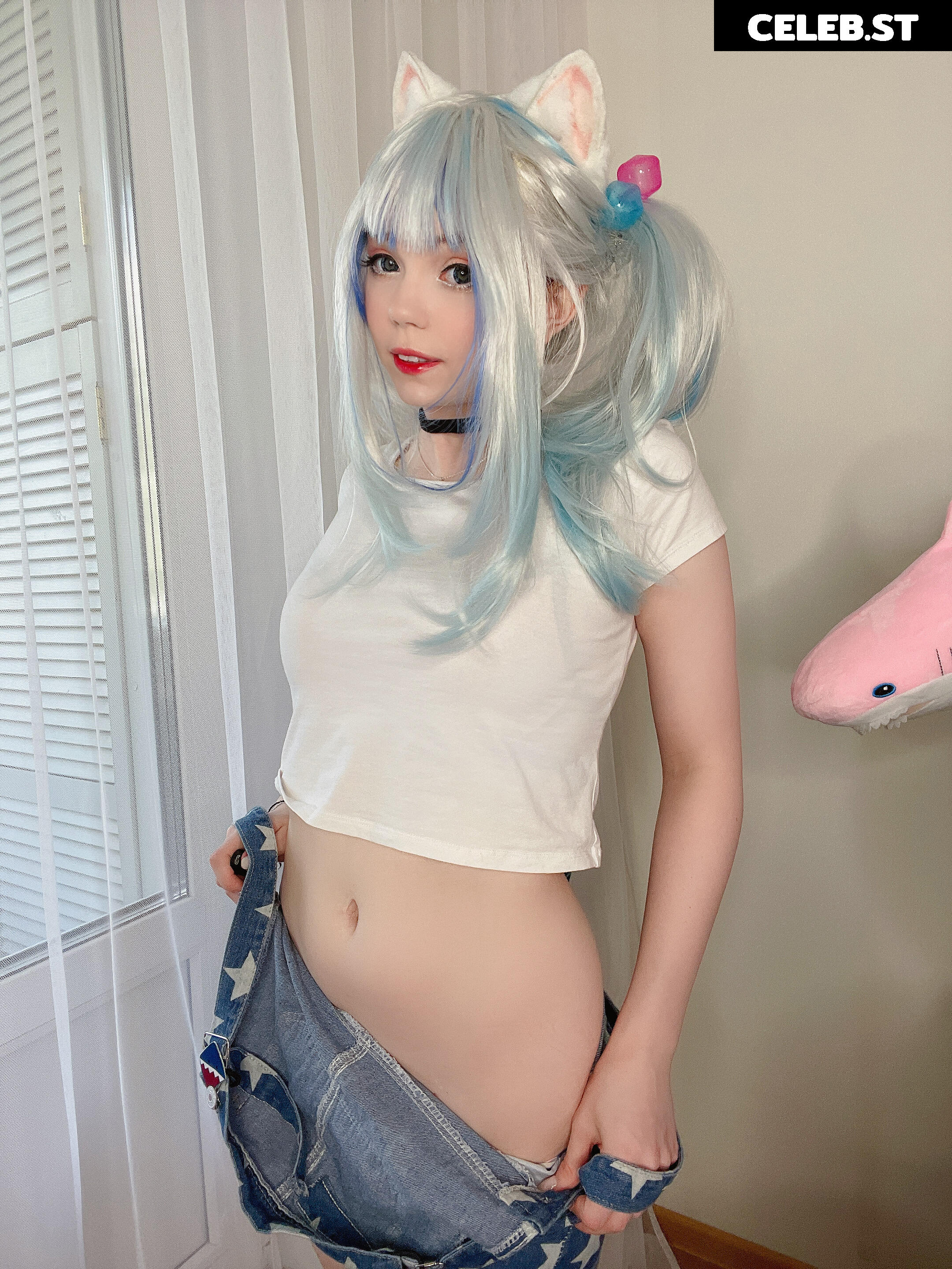 Caticornplay Image 196476