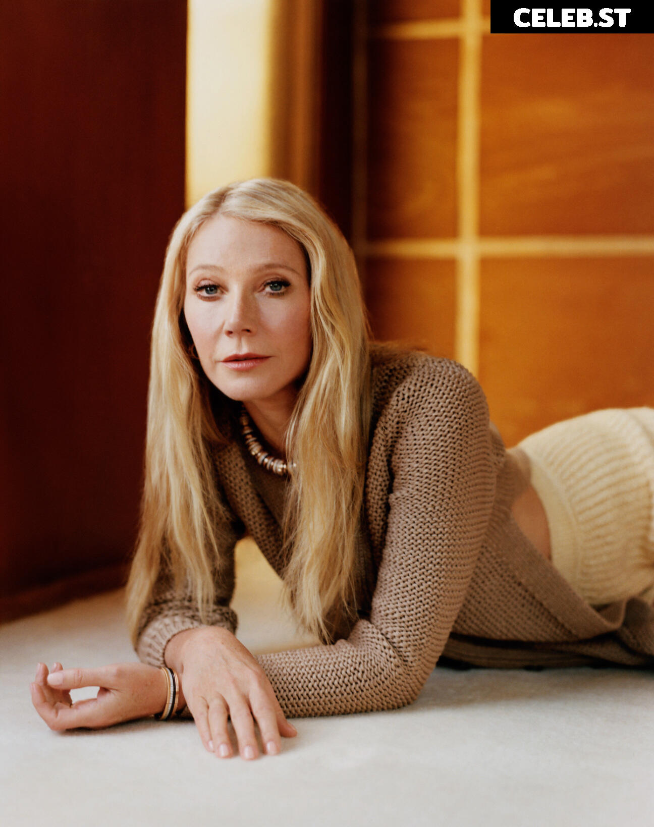 Gwyneth Paltrow Image 1961582