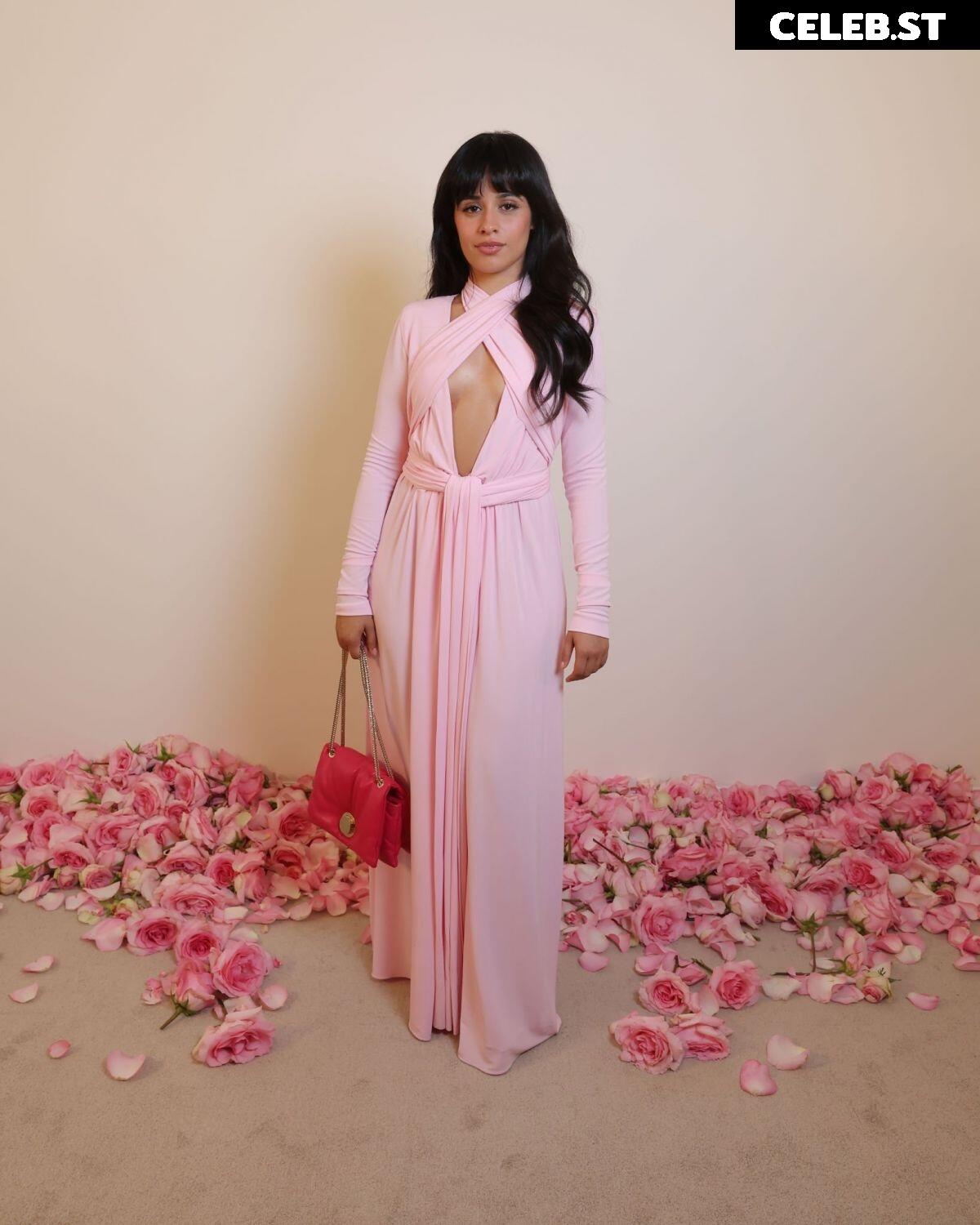 Camila Cabello Image 1963725