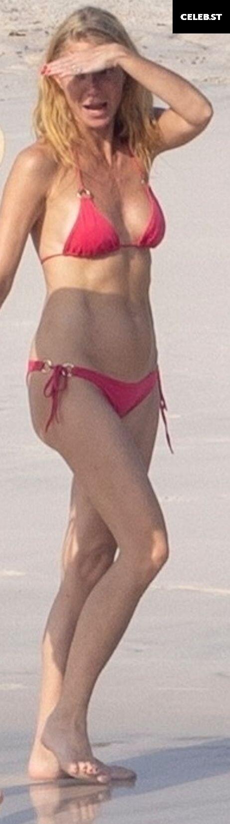 Gwyneth Paltrow Image 1951295