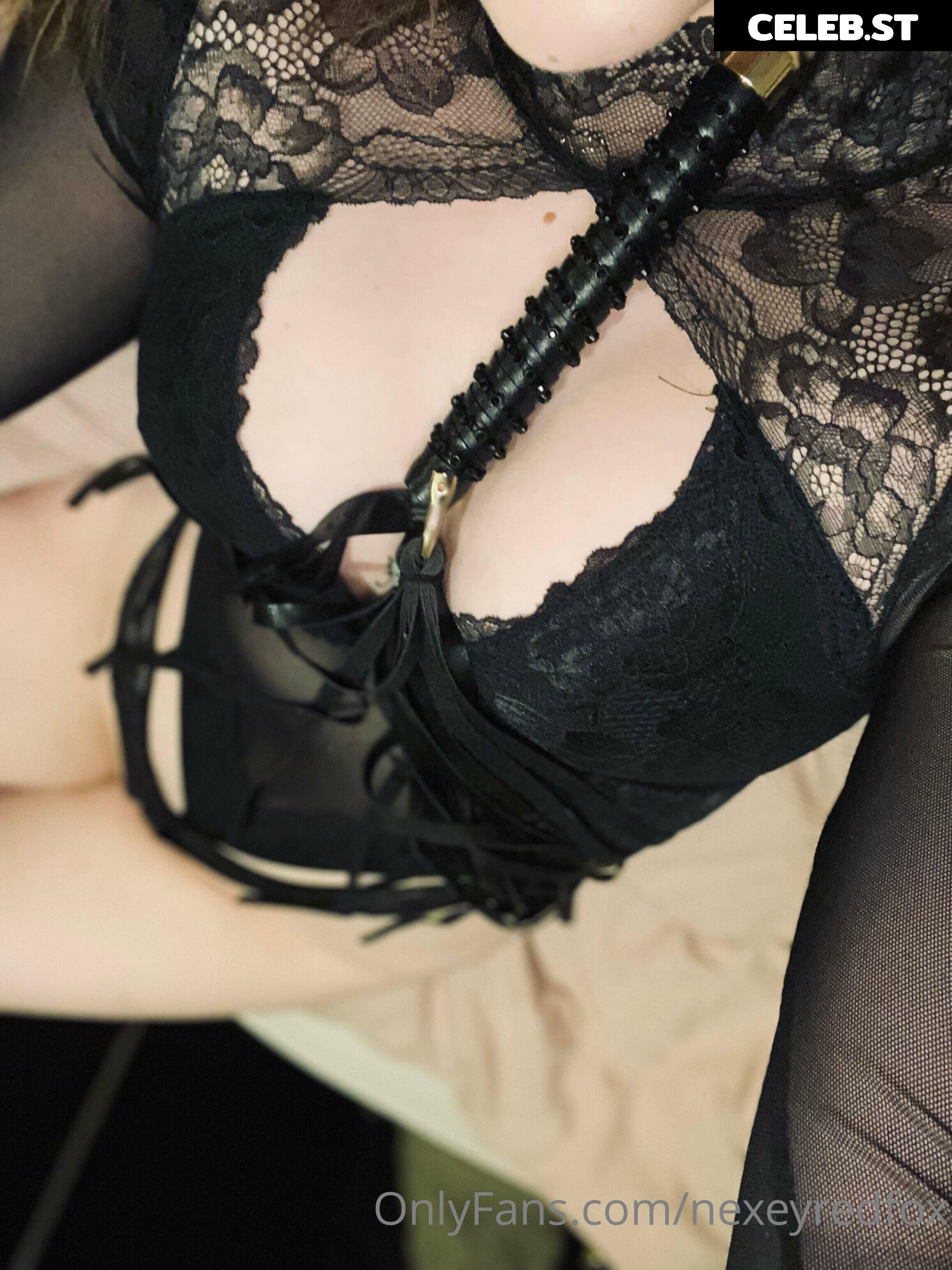 Nexeyredfox Image 195331