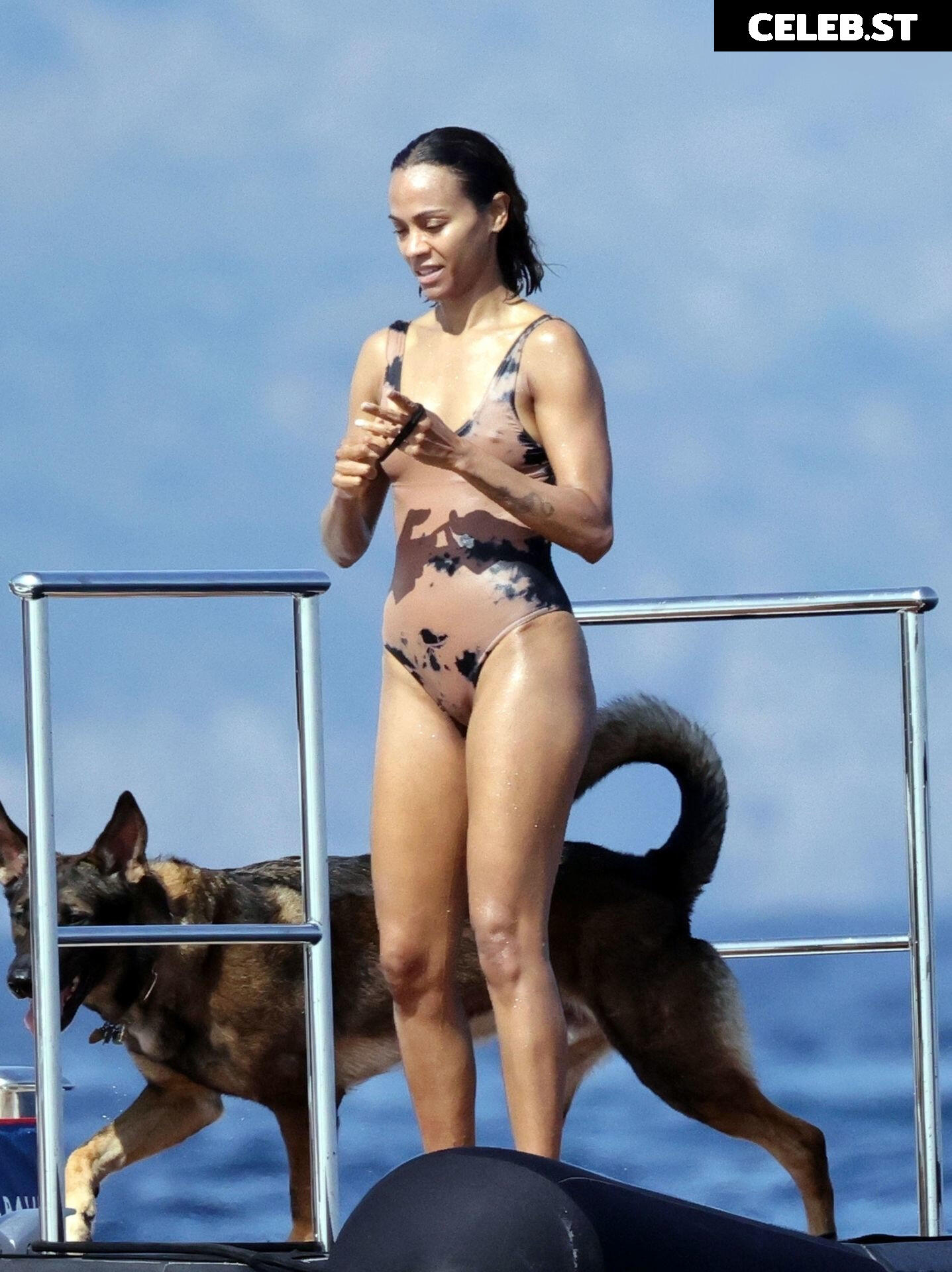 Zoe Saldana Image 1946842