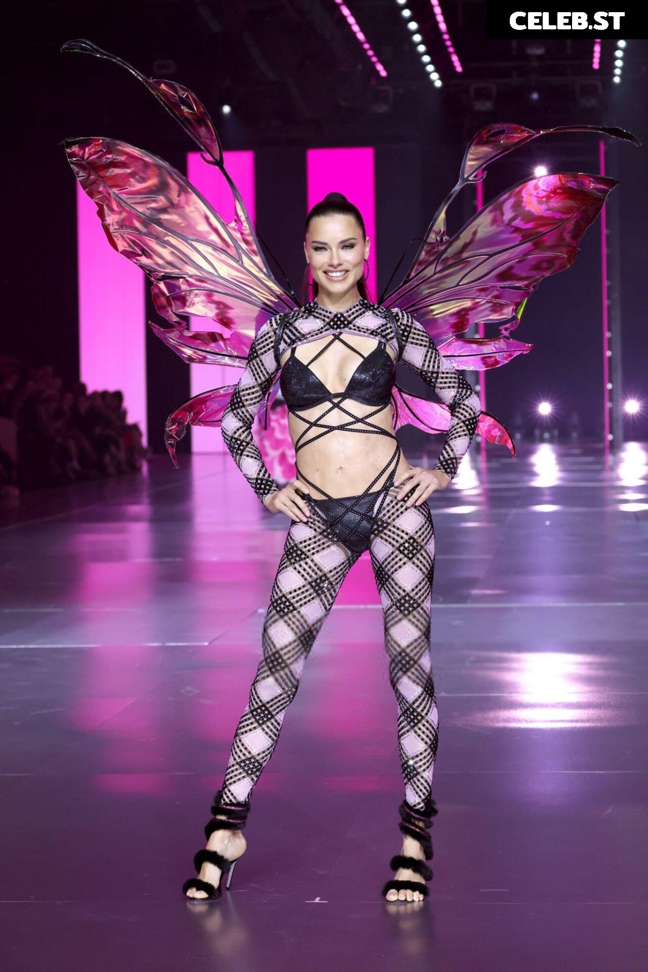 Adriana Lima Image 1935829