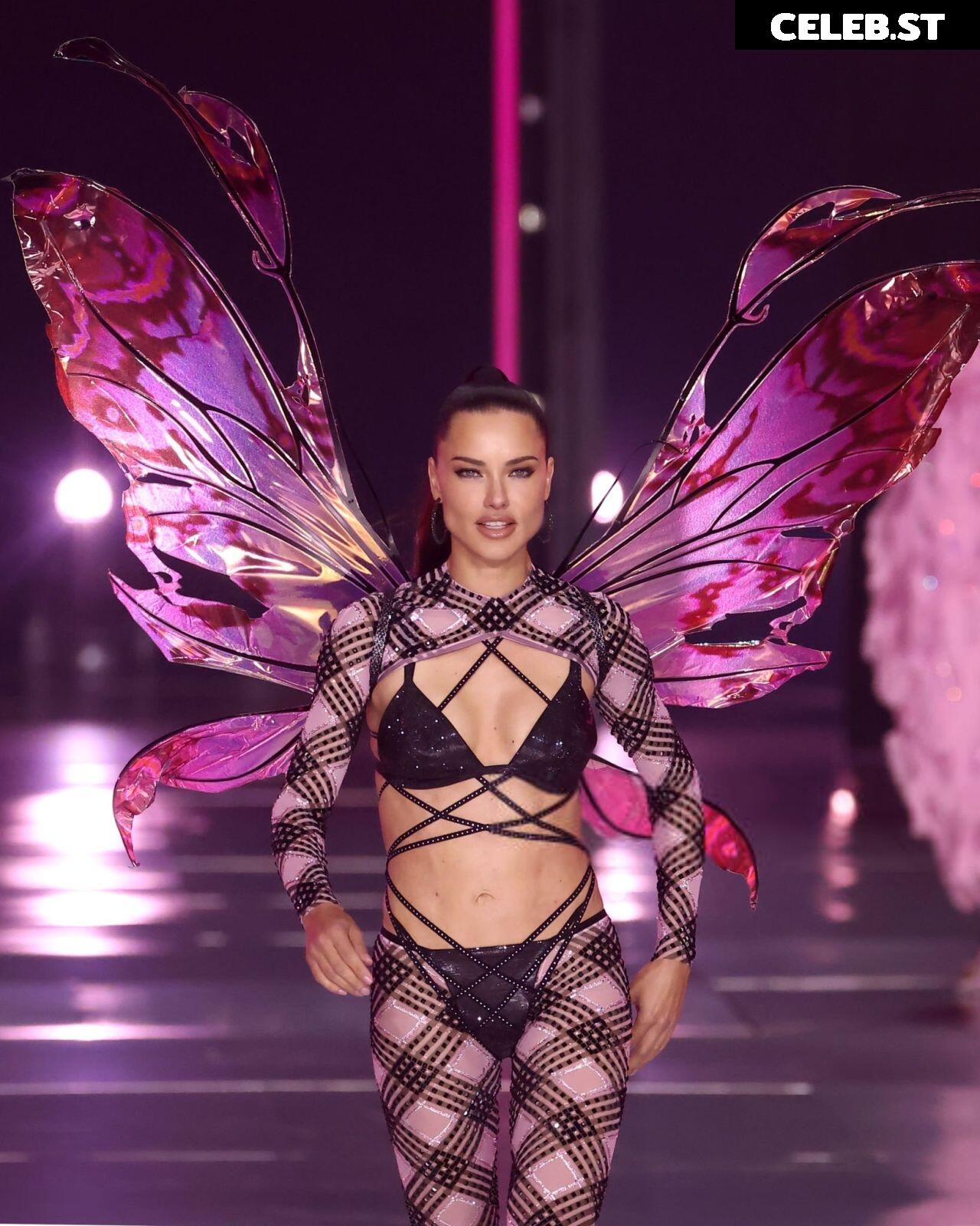 Adriana Lima Image 1935355