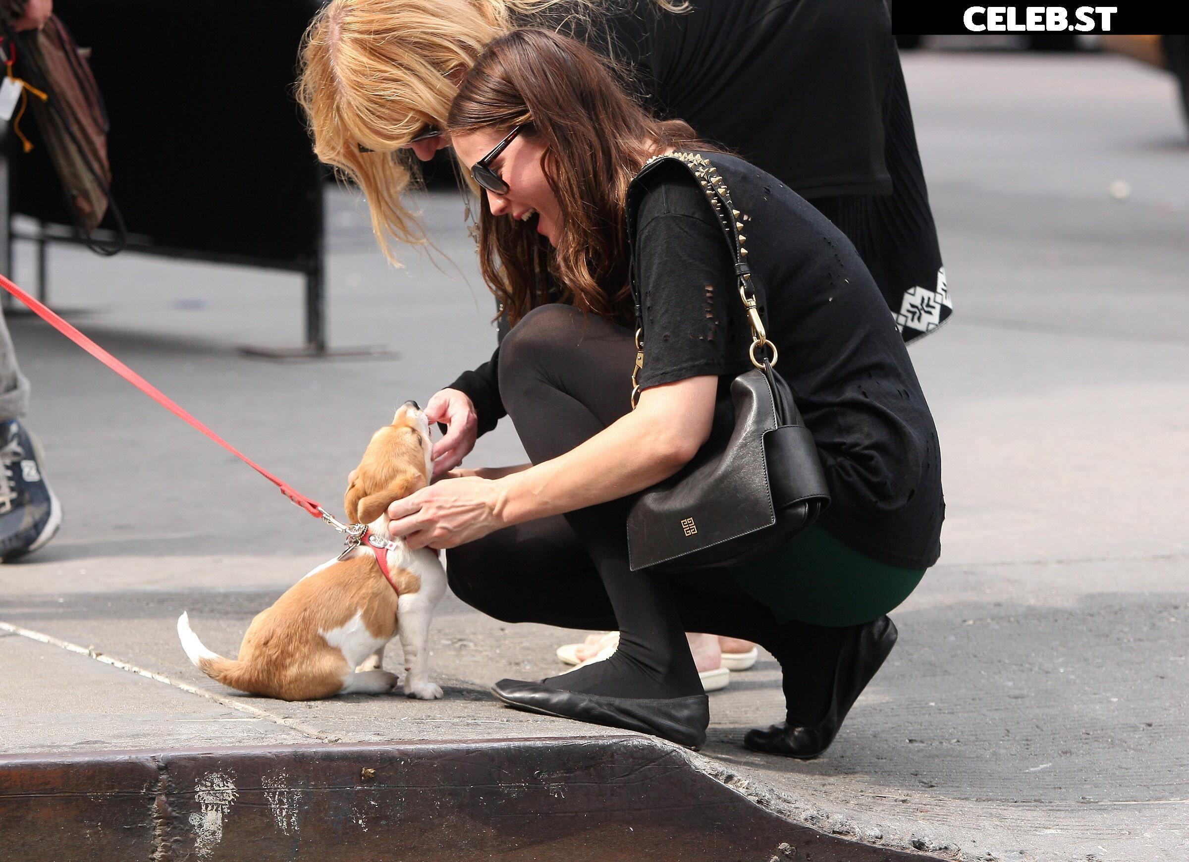 Liv Tyler Image 1930835