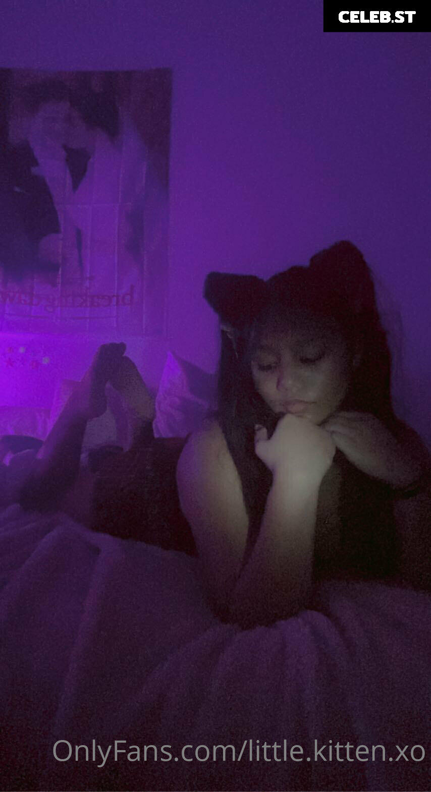 little.kitten.xo Image 19261894