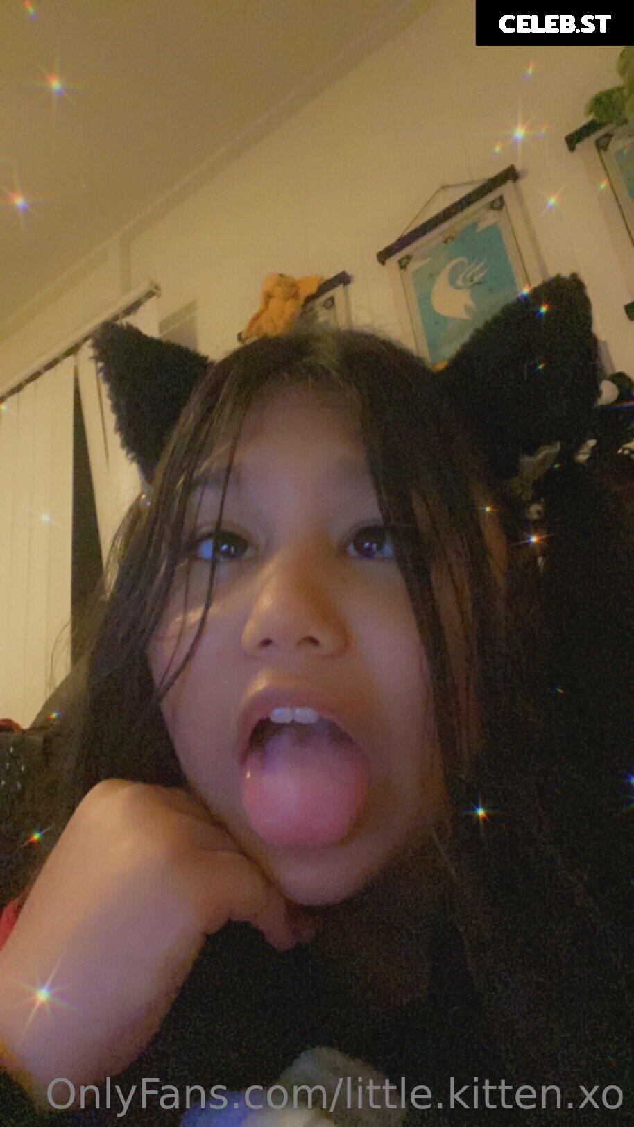 little.kitten.xo Image 19260357