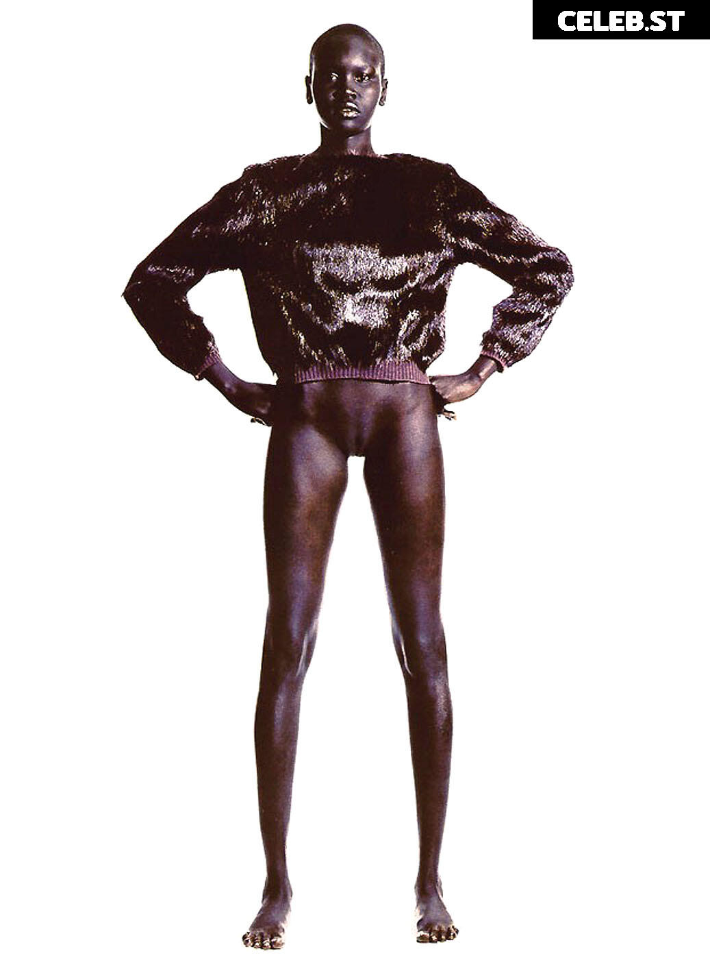 Alek Wek Image 1927540