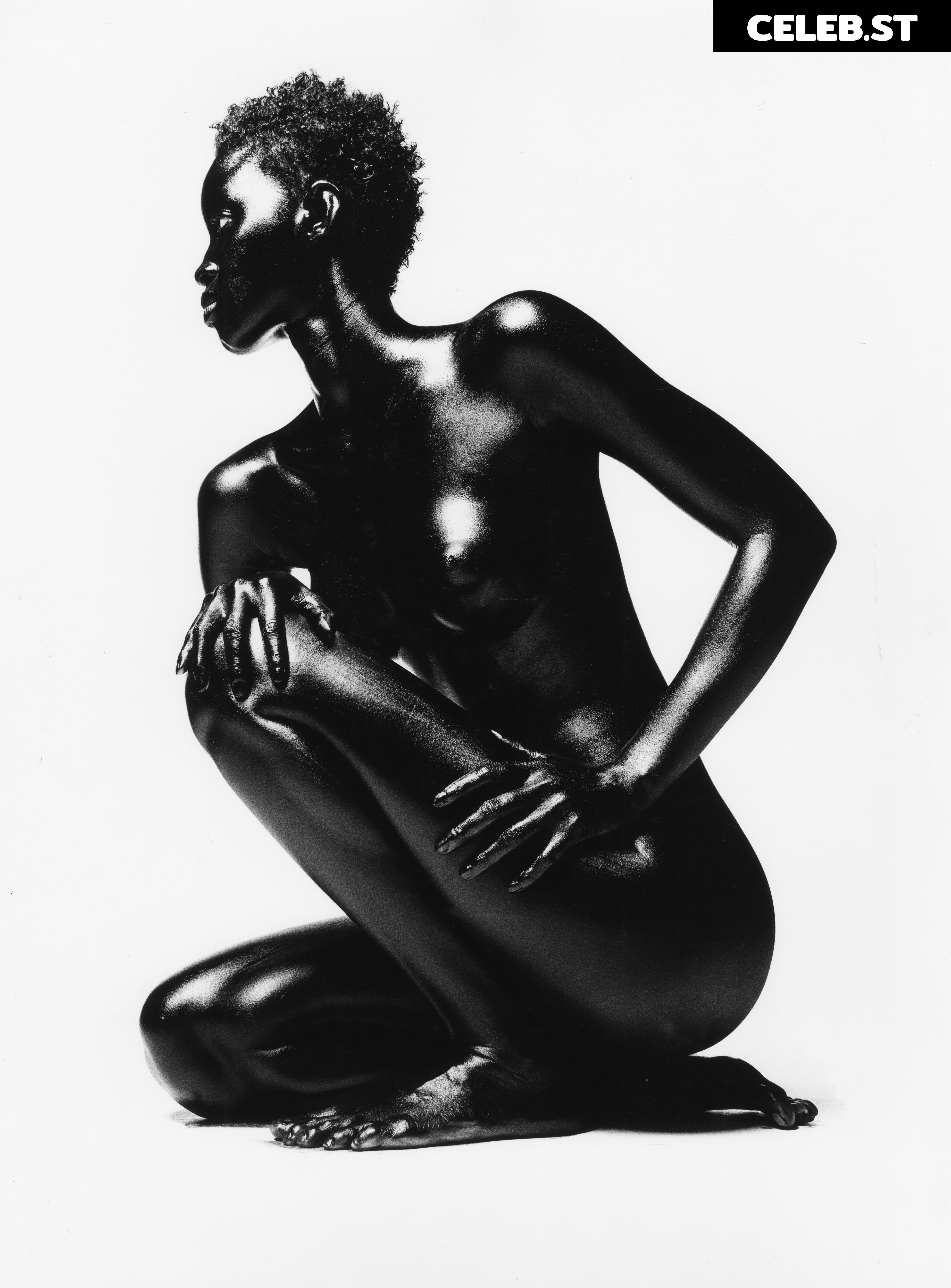 Alek Wek Image 1927516