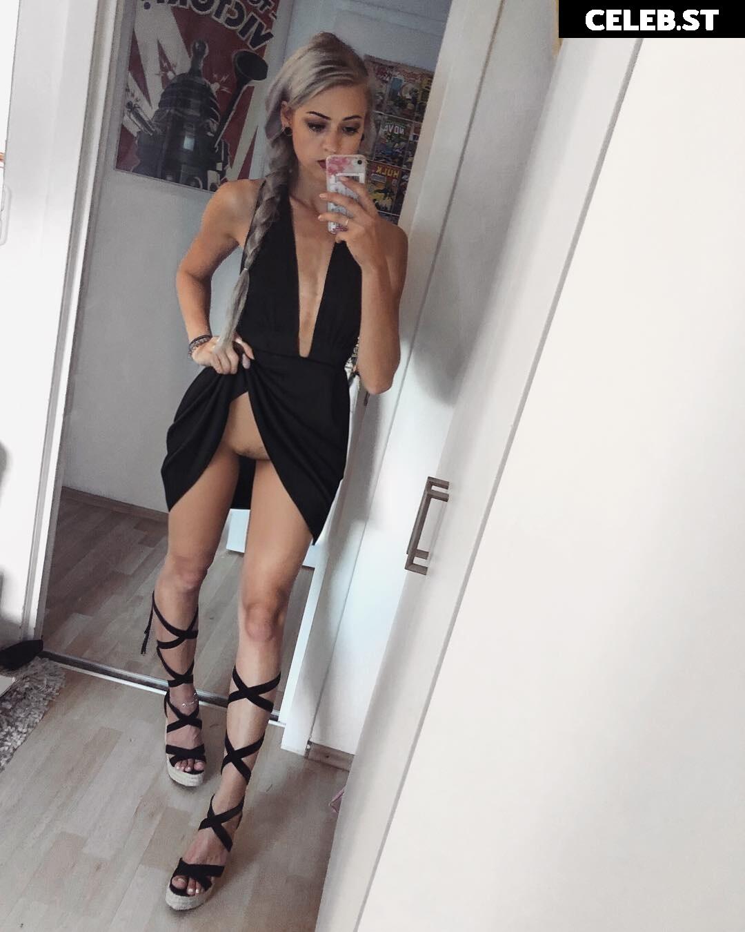 Farbenfuchs Image 1921066