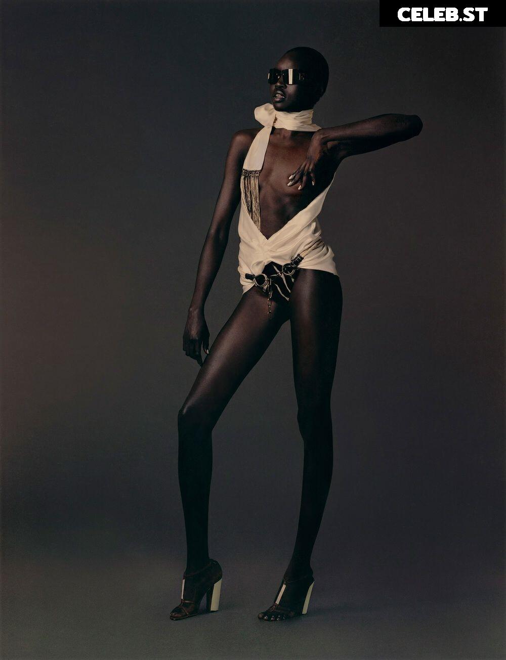 Alek Wek Image 1929885
