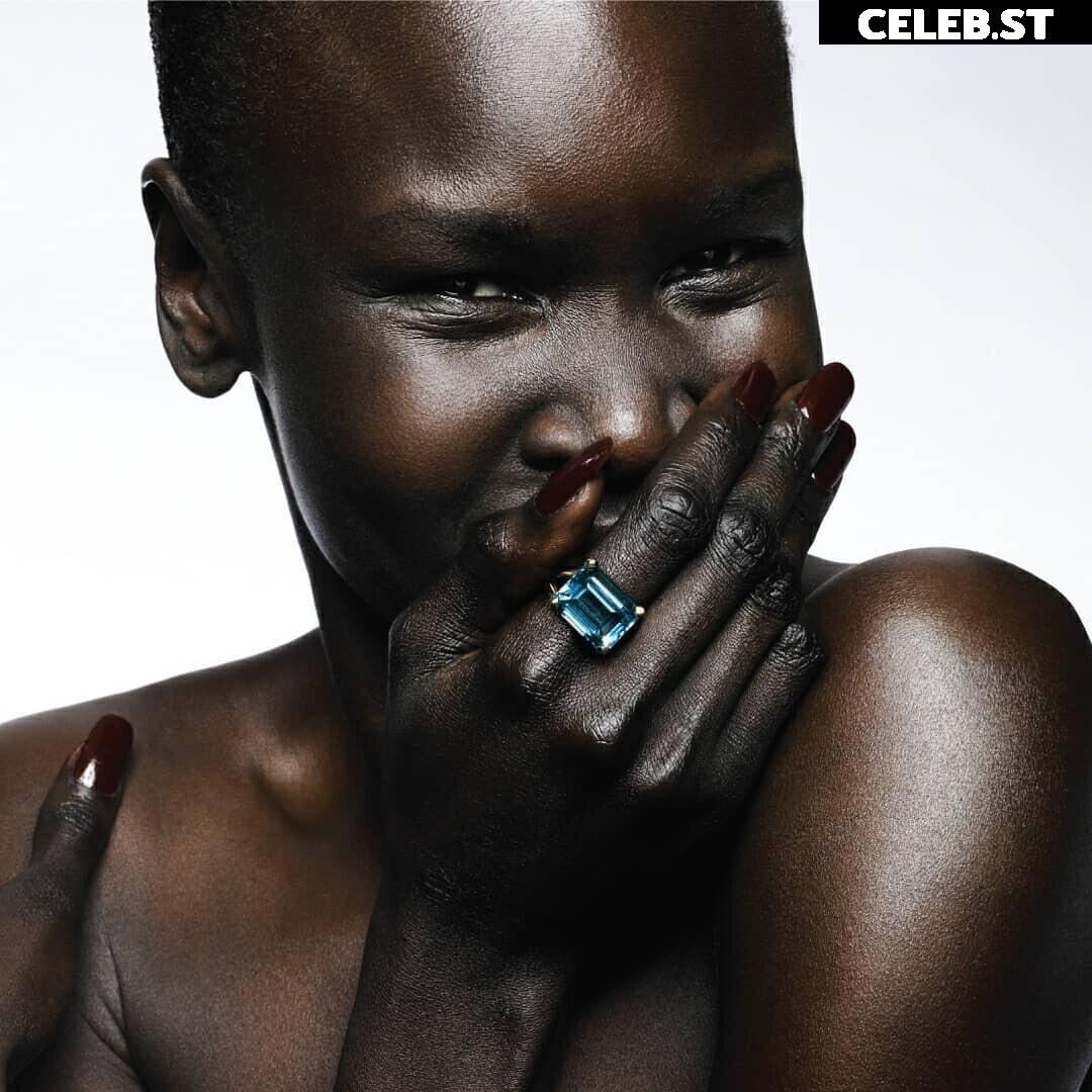 Alek Wek Image 1929597