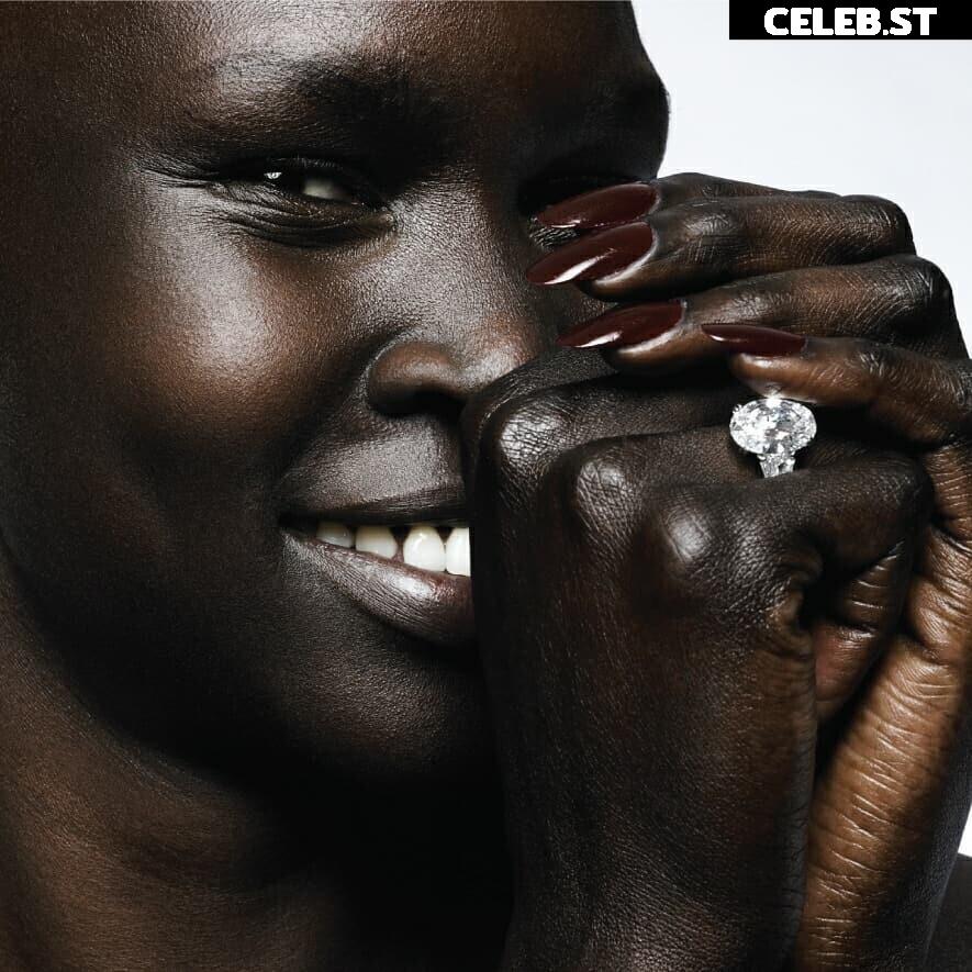 Alek Wek Image 1929707