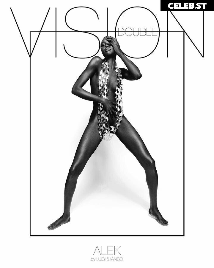 Alek Wek Image 1929199