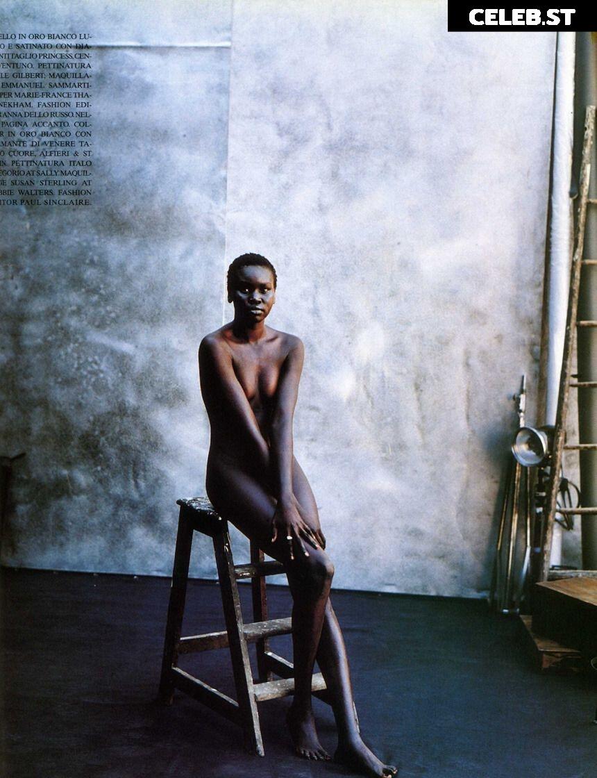 Alek Wek Image 1929080