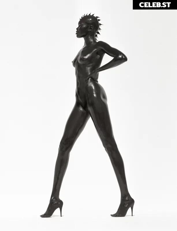 Alek Wek Image 1929296