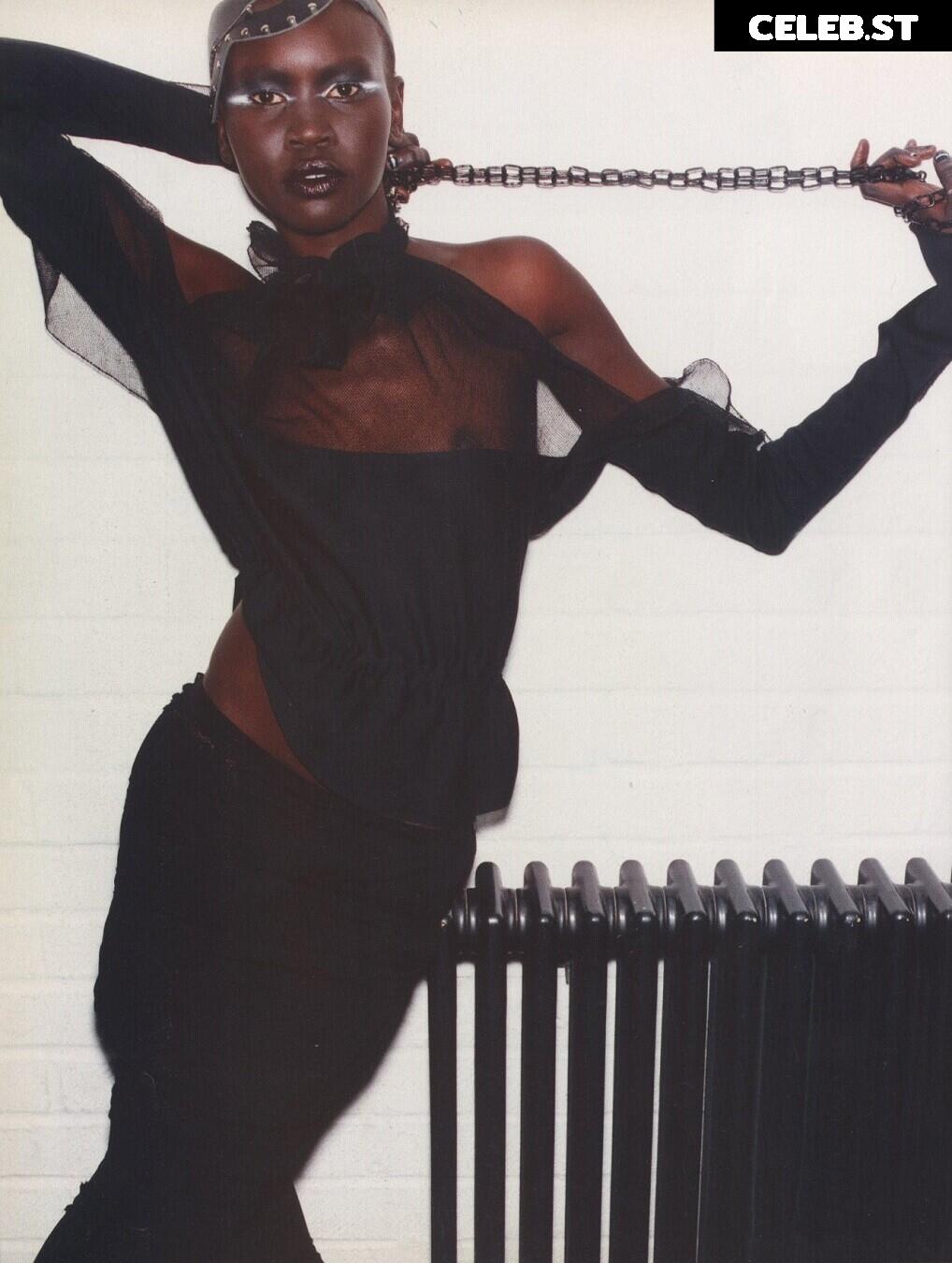 Alek Wek Image 1929989