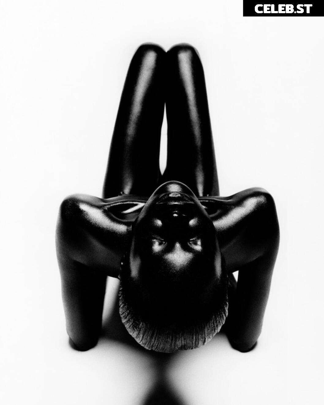 Alek Wek Image 1928874