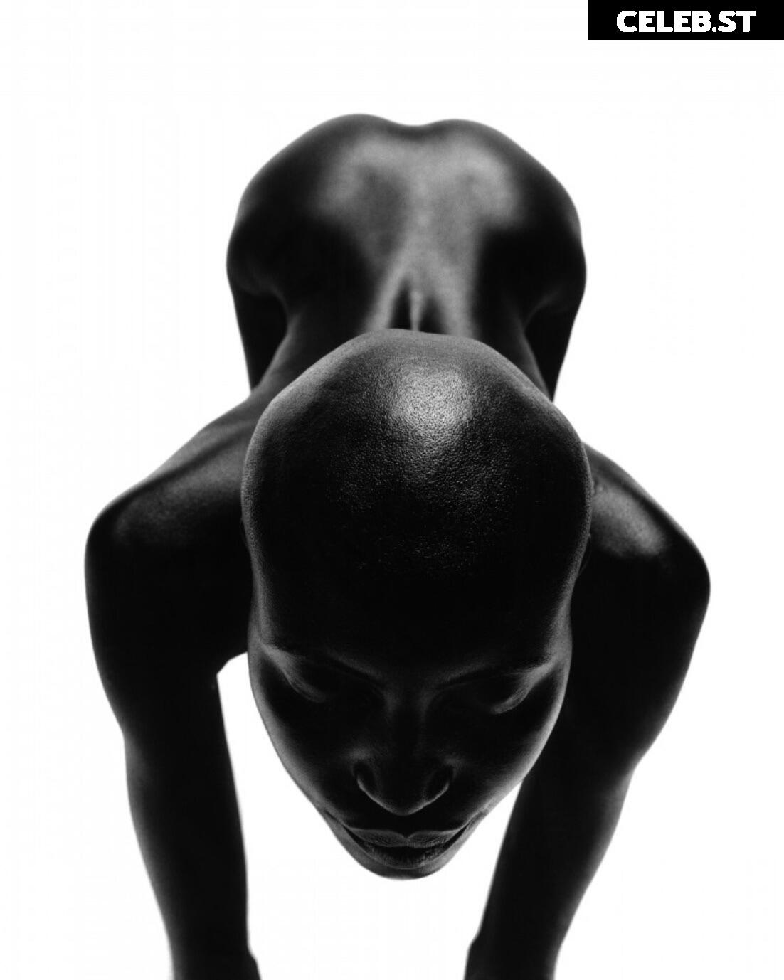 Alek Wek Image 1928816