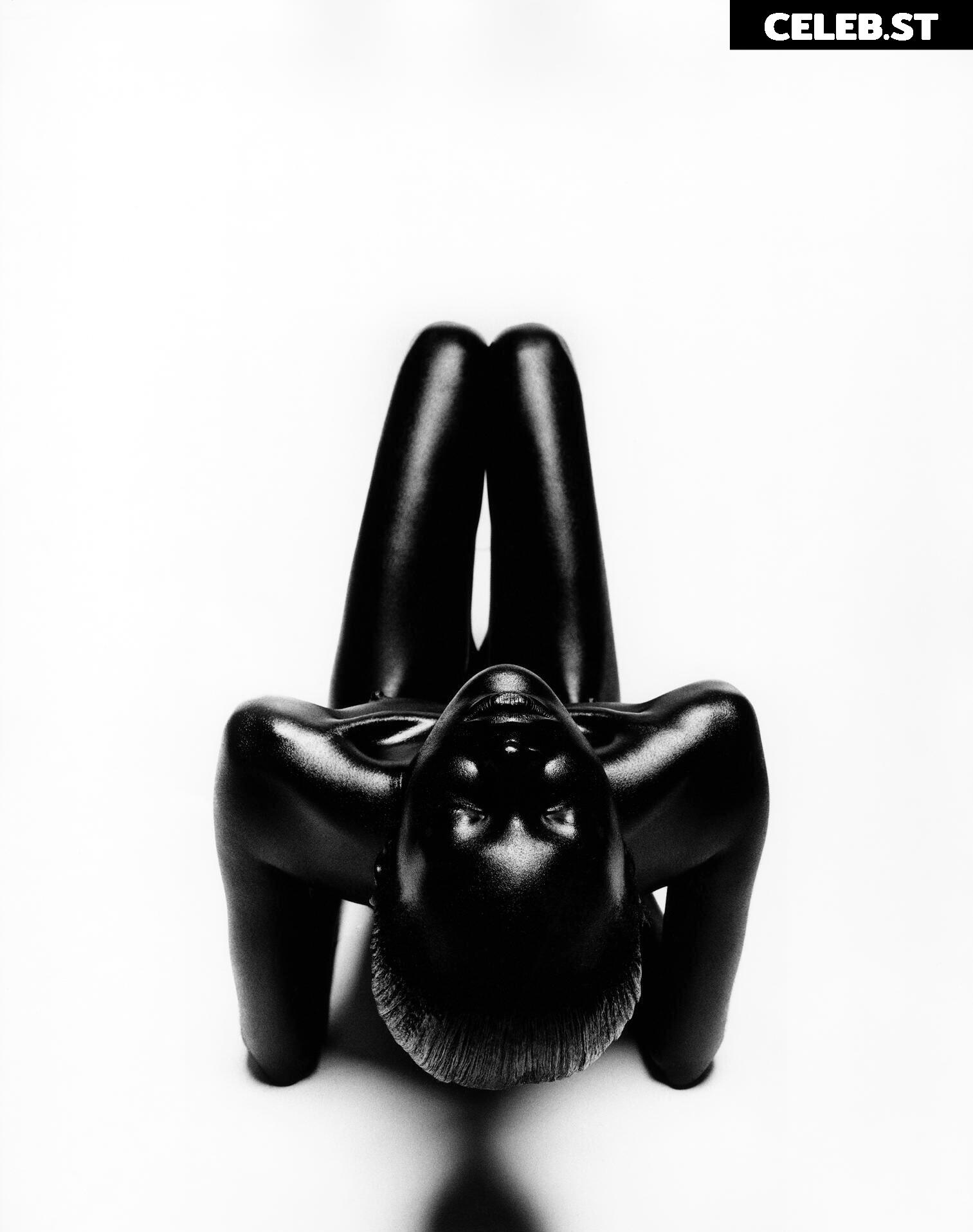 Alek Wek Image 1928420