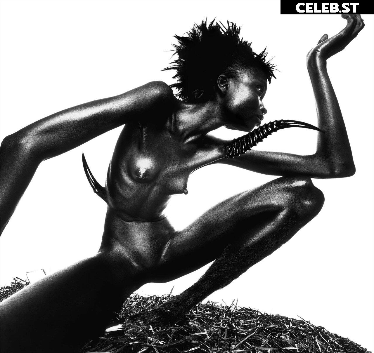 Alek Wek Image 1928168