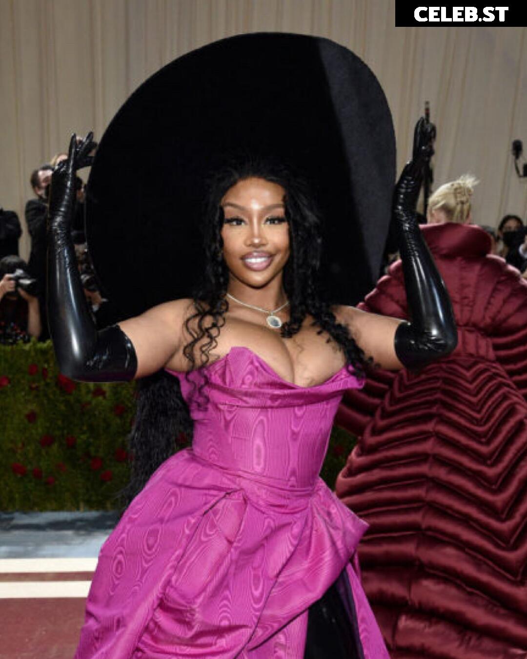 SZA Image 1928380