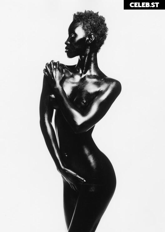 Alek Wek Image 1928305