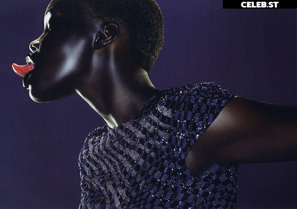 Alek Wek Image 1928248