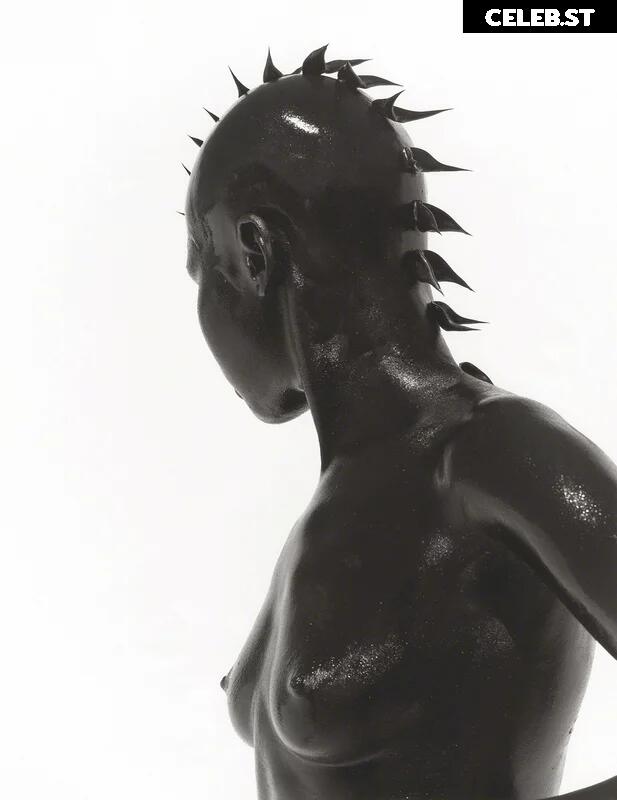 Alek Wek Image 1928987