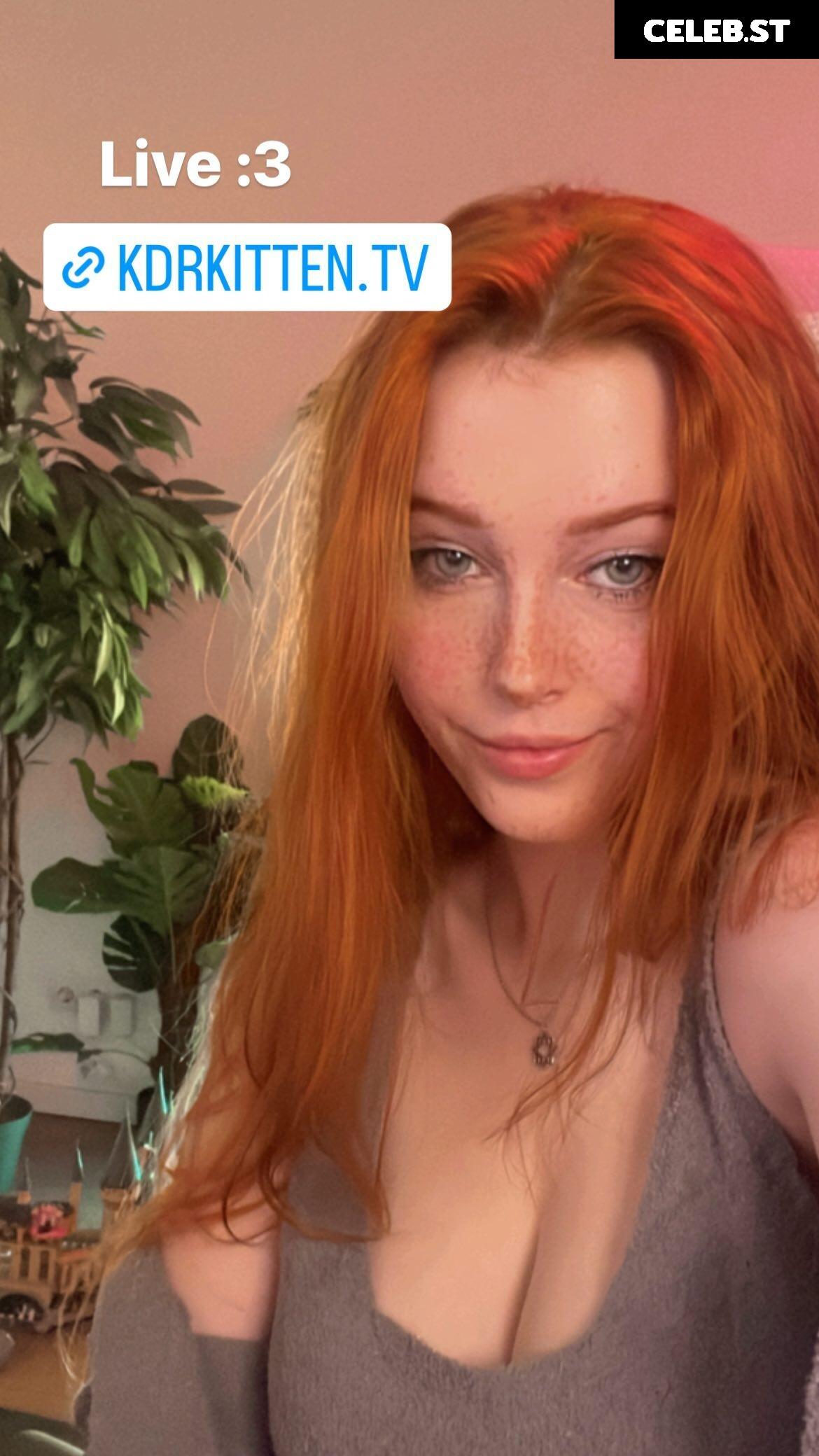 KDRkitten Image 1905426