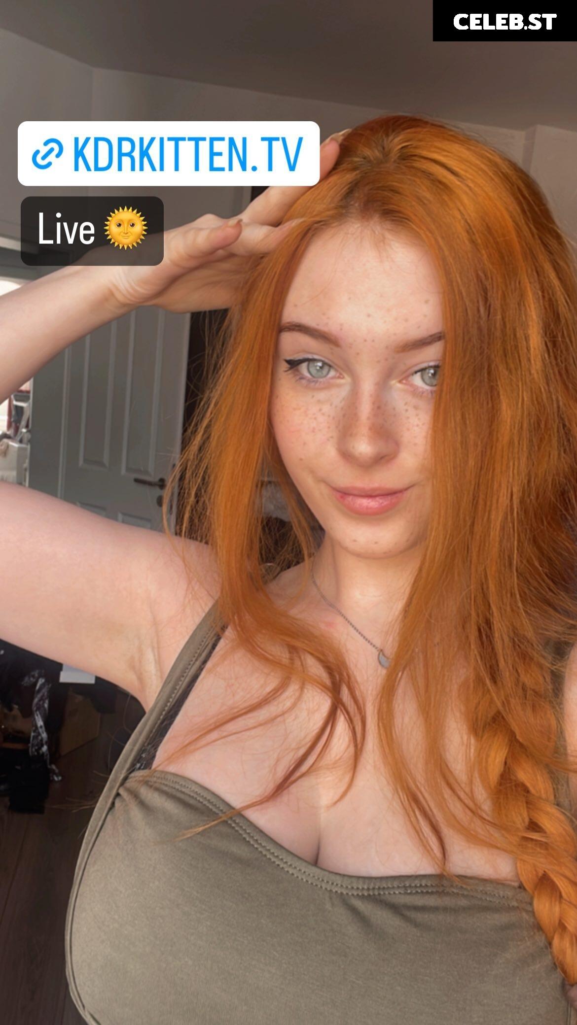 KDRkitten Image 1905314