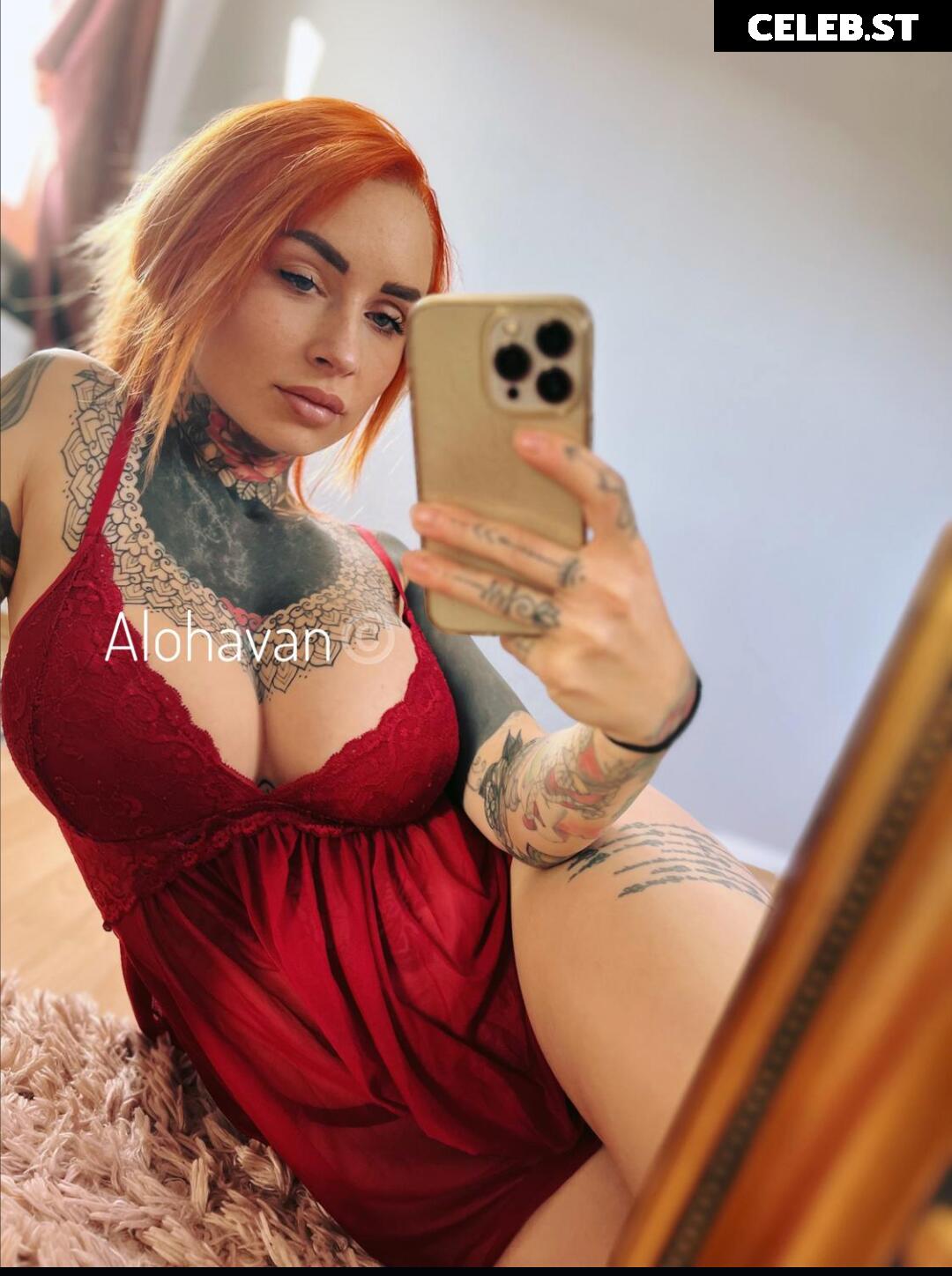 Alohavan Image 1904773