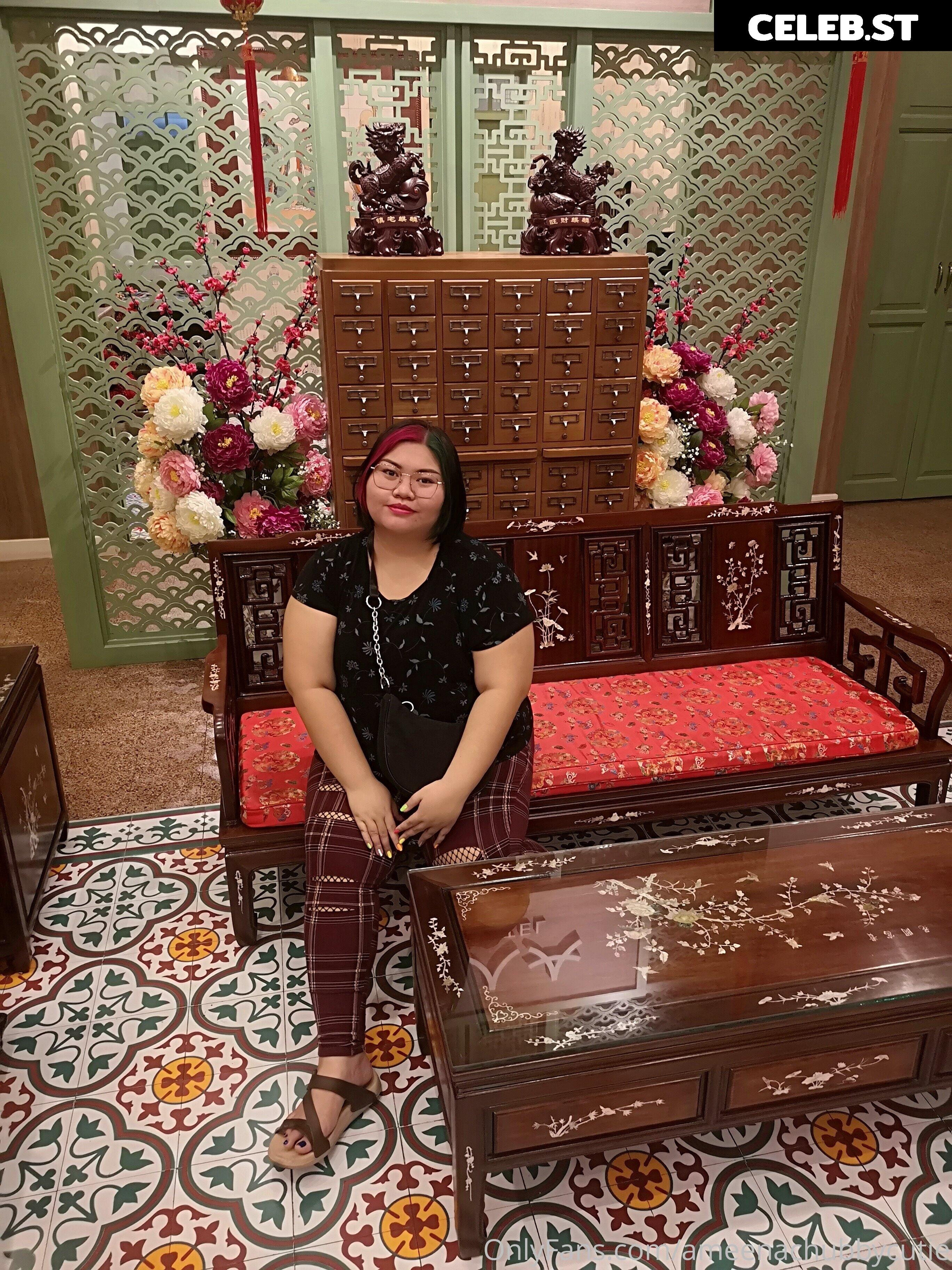 ameenachubbycutie Image 14817622