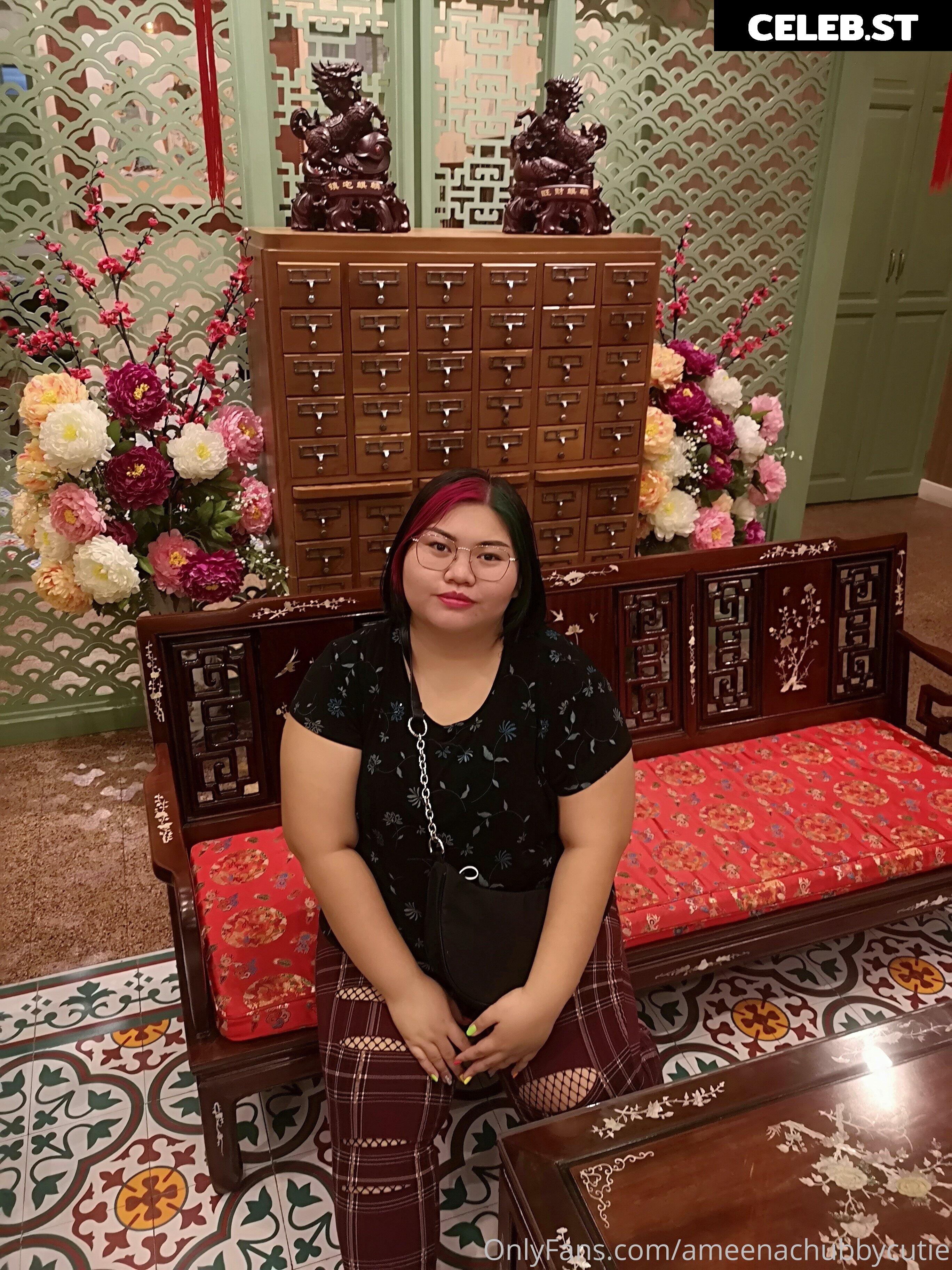 ameenachubbycutie Image 14817657