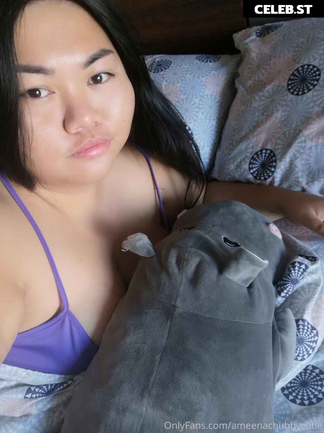 ameenachubbycutie Image 14819423