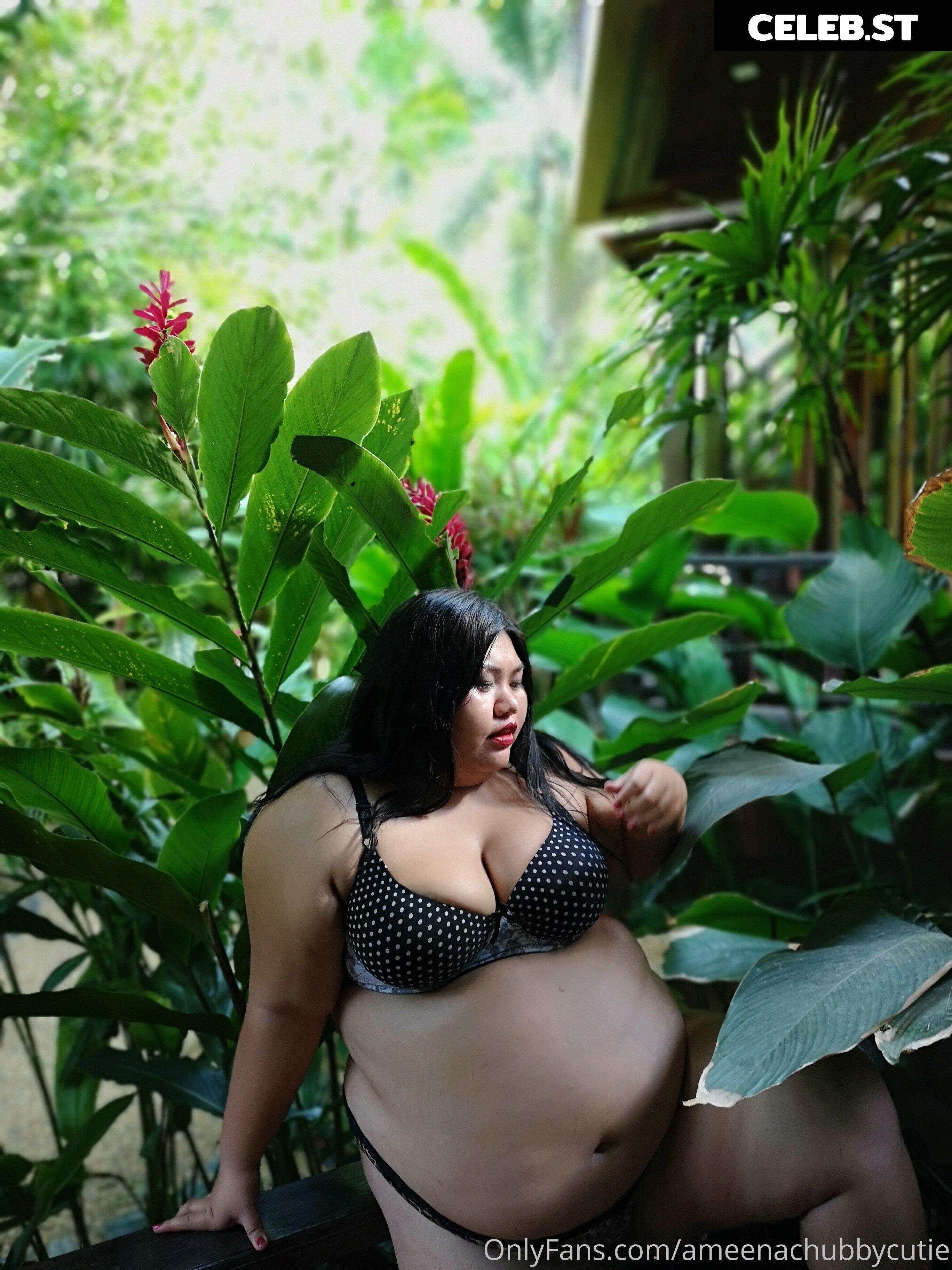 ameenachubbycutie Image 14821587