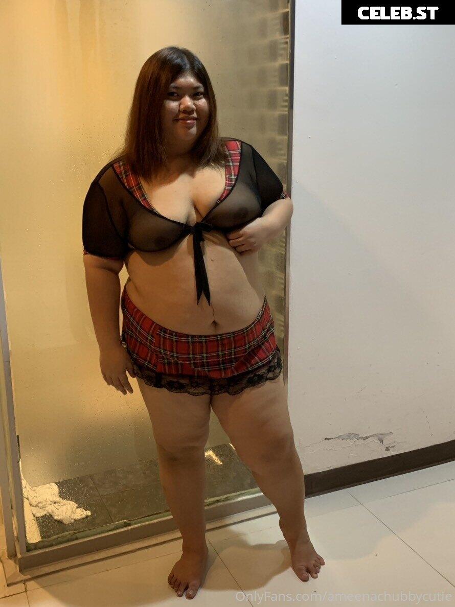 ameenachubbycutie Image 14821421