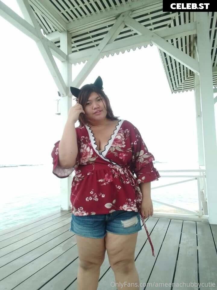 ameenachubbycutie Image 14823316
