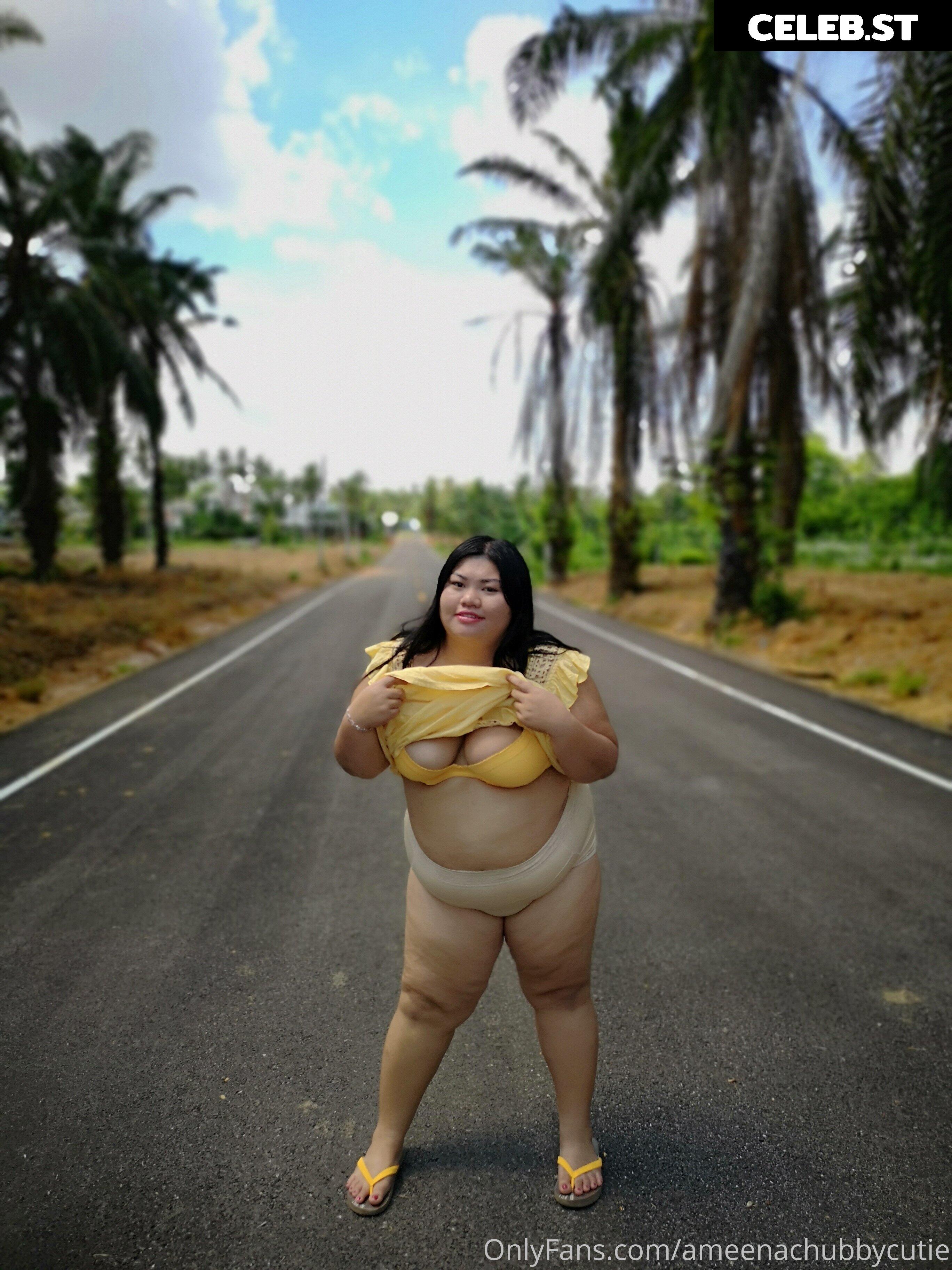 ameenachubbycutie Image 14822424