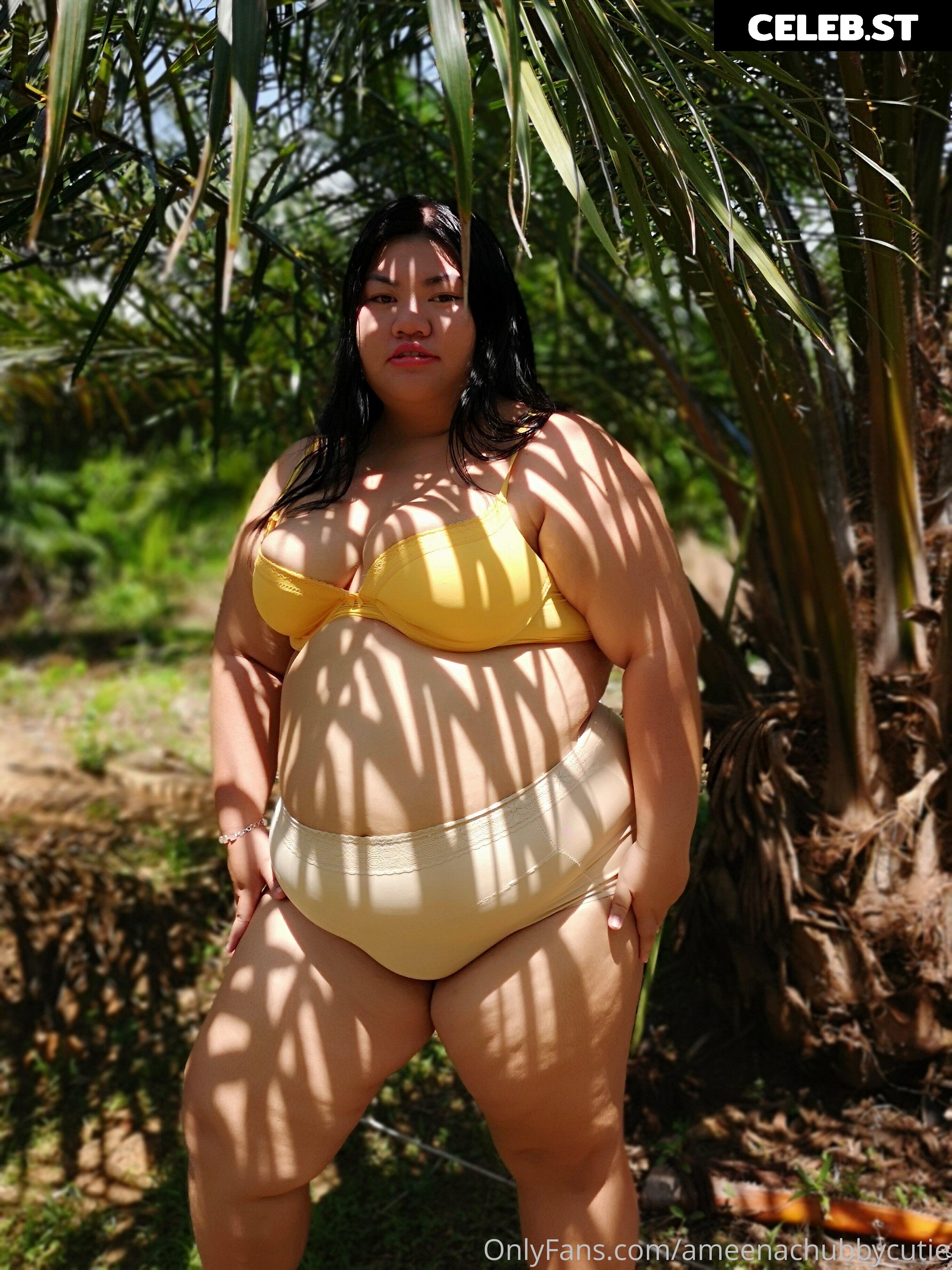ameenachubbycutie Image 14822405