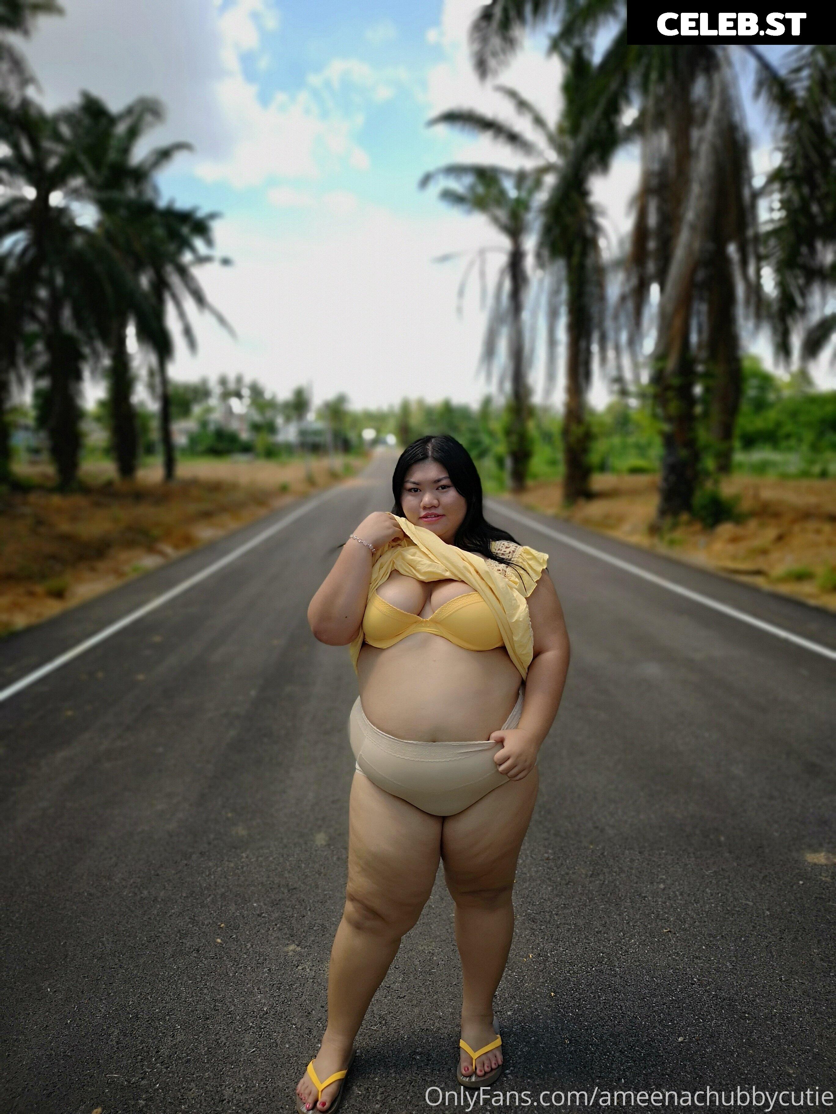 ameenachubbycutie Image 14822331