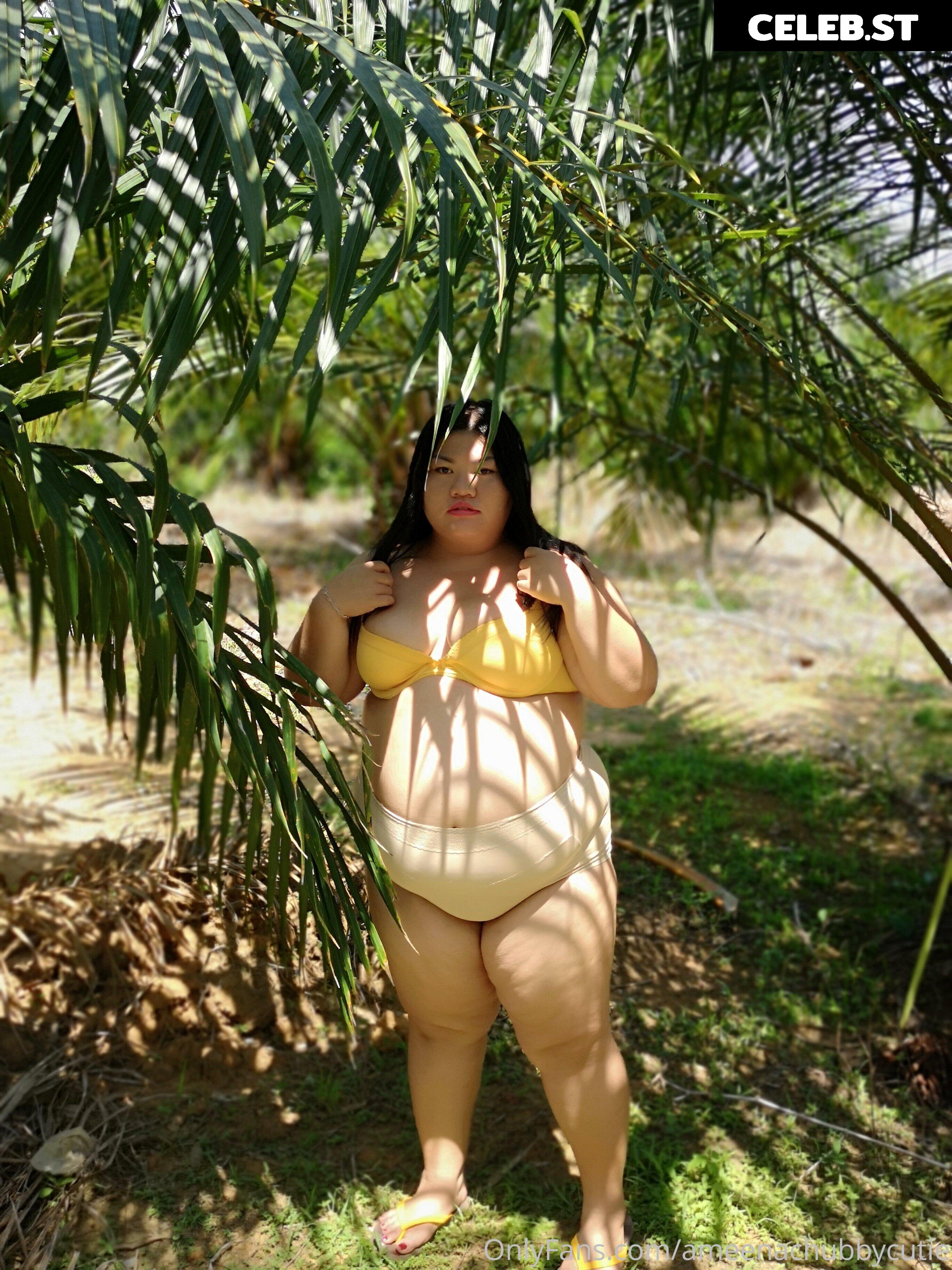 ameenachubbycutie Image 14822338